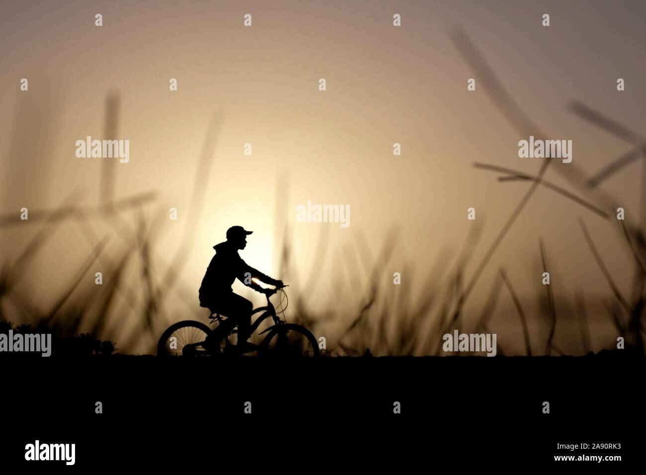Silhouette di un giovane uomo su una bicicletta al tramonto Foto Stock
