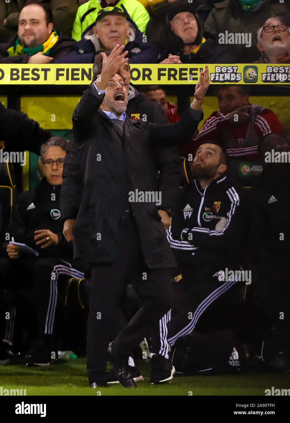 Manager di Watford, Quique Sanchez Flores celebra a tempo pieno - Norwich City v Watford, Premier League, Carrow Road, Norwich, Regno Unito - 8 November 2019 solo uso editoriale - DataCo restrizioni si applicano Foto Stock