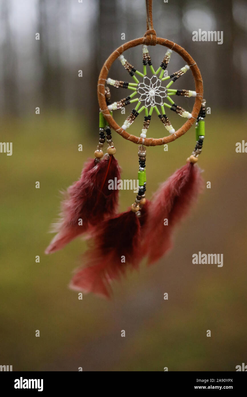 Dream Catcher nella foresta. La speranza e il concetto di sogno. Foto Stock