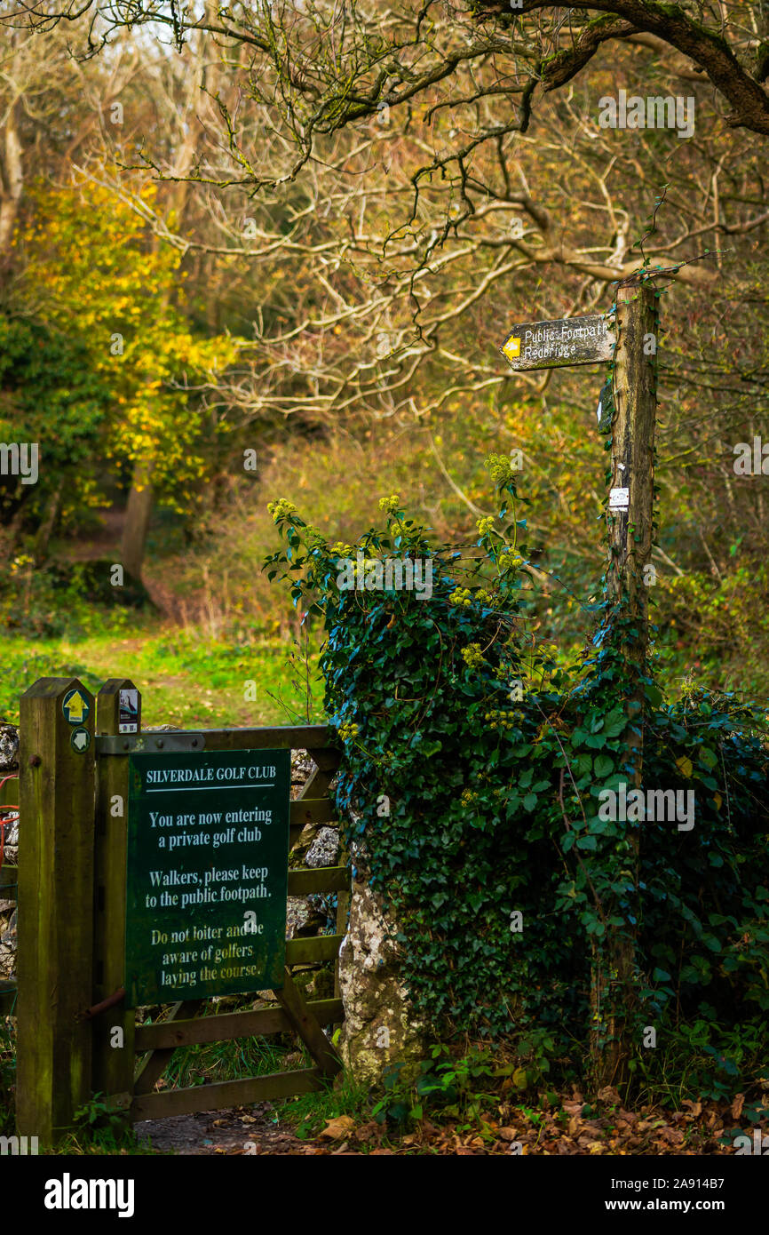 Leighton Moss RSPB Foto Stock