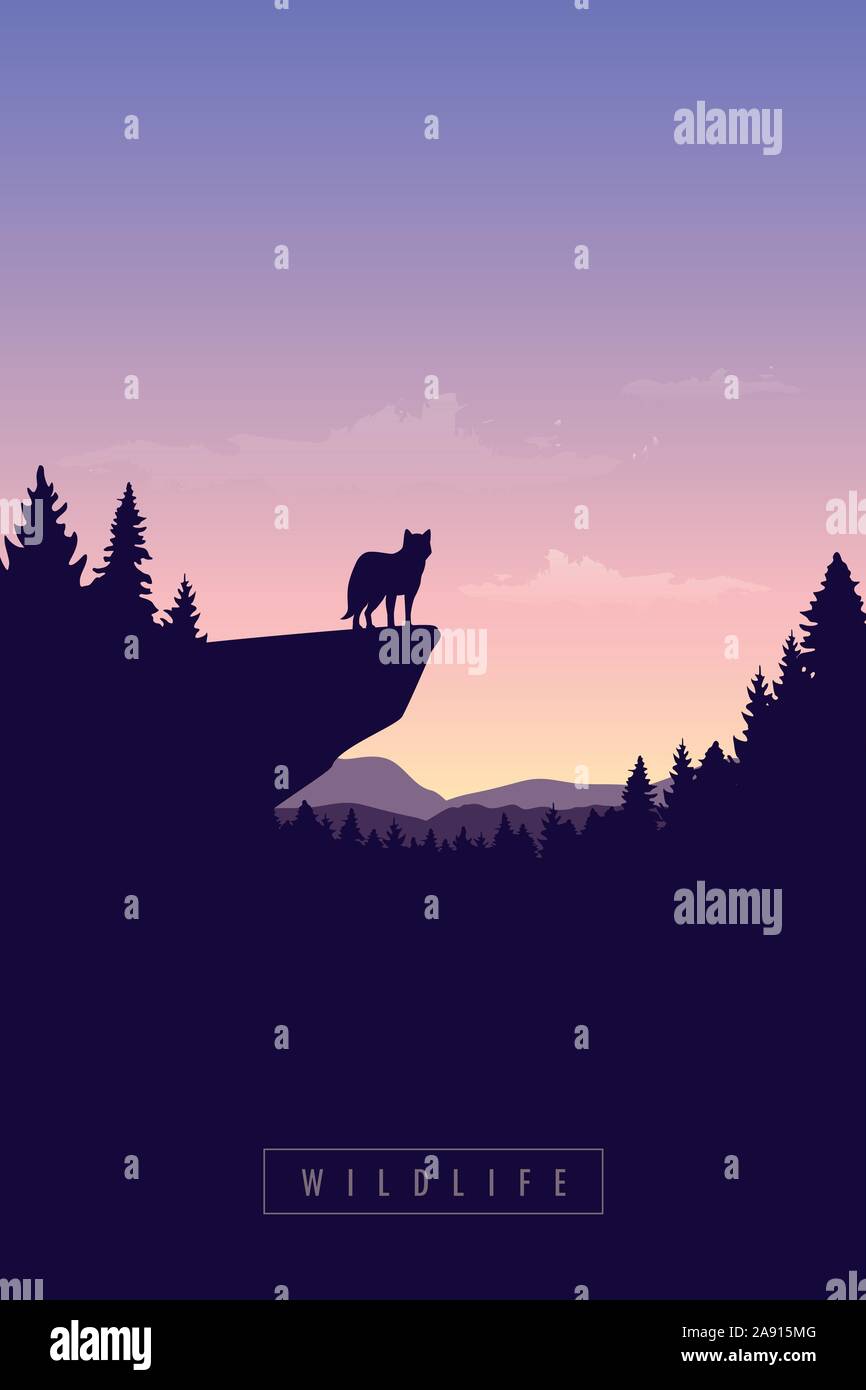 Wolf su una scogliera wildlife foresta al tramonto illustrazione vettoriale EPS10 Illustrazione Vettoriale