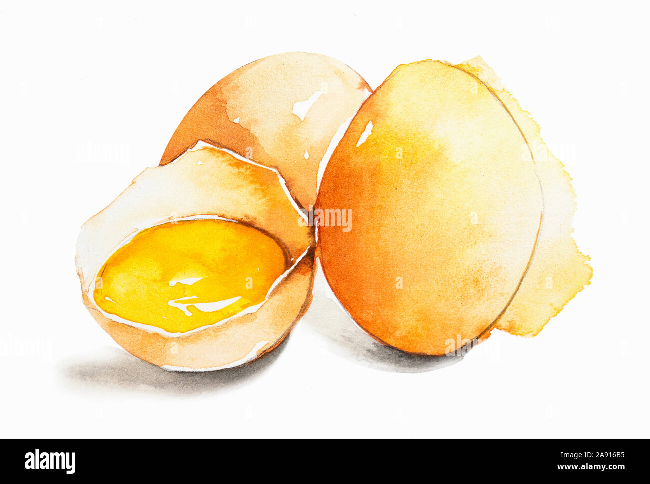 Close up di uova e tuorlo d'uovo in guscio d'uovo Foto Stock