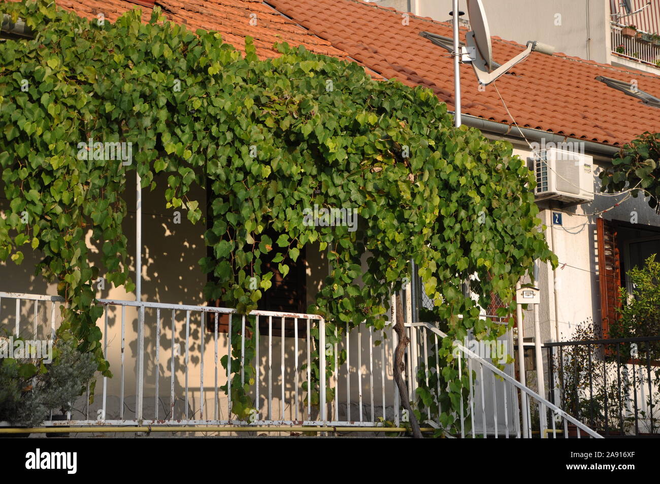 Casa coperto con foglie di colore verde Foto Stock