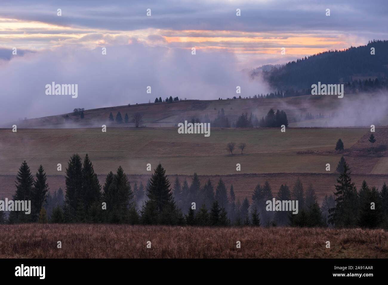 Paesaggio autunnale. Nebbia di mattina in montagna. La bellezza di Natura Foto Stock