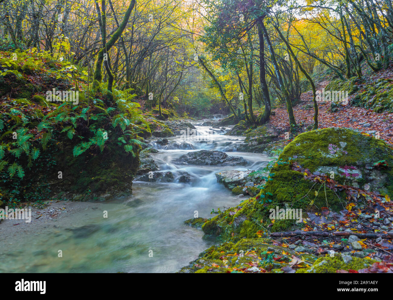 Monte Tancia (Rieti, Italia) - le suggestive cascate del torrente Galantina in le montagne degli Appennini, denominato pozze del Diavolo, durante l'autunno Foto Stock