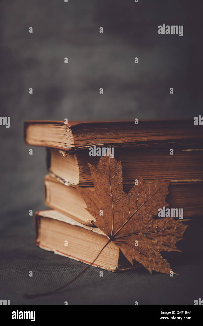 Libri, notebook, matite per disegno con foglie di autunno Foto Stock