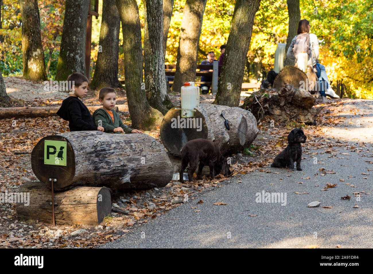 Parcheggio ormeggio per cani nella foresta, tronchi di alberi con ganci e fusto in plastica. Due bambini che guardano. Karoly-Chilato, Sopron, Ungheria Foto Stock