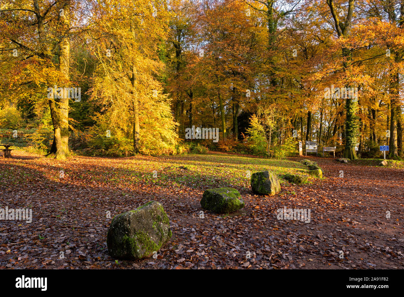 Autunno a Whitestone picnic e punto di vista nella bassa valle del Wye, Galles. Foto Stock