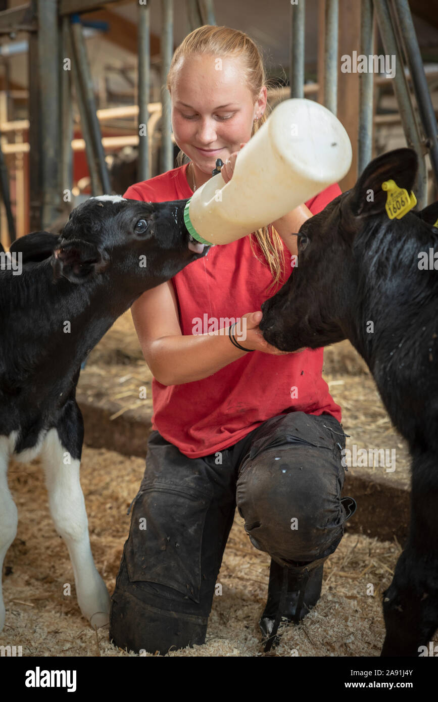 Ragazza adolescente vitello di alimentazione Foto Stock
