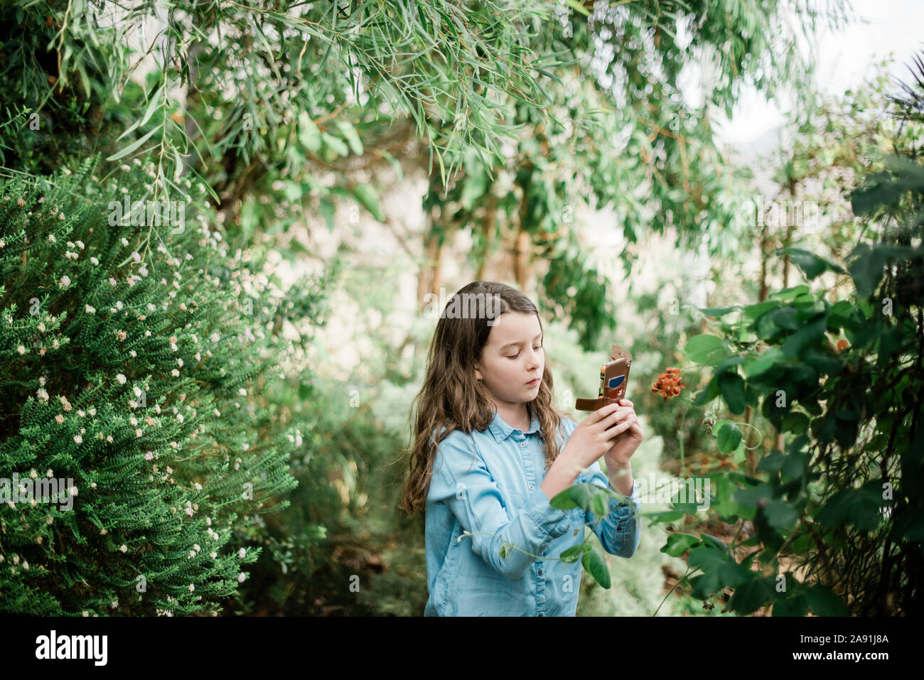 Ragazza di prendere foto con il telefono cellulare Foto Stock