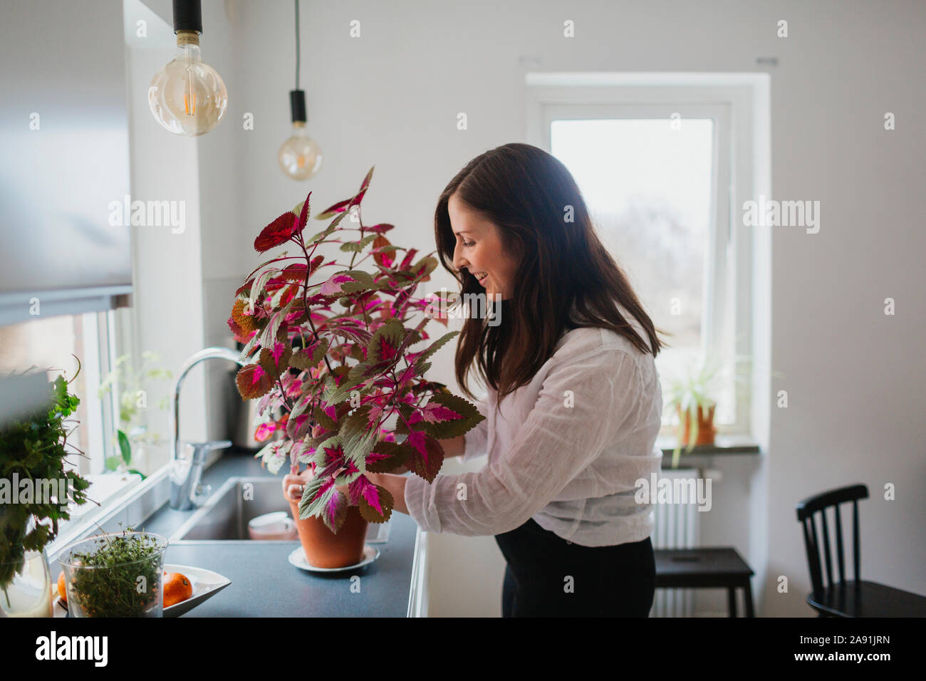 Donna prendersi cura della pianta in vaso Foto Stock