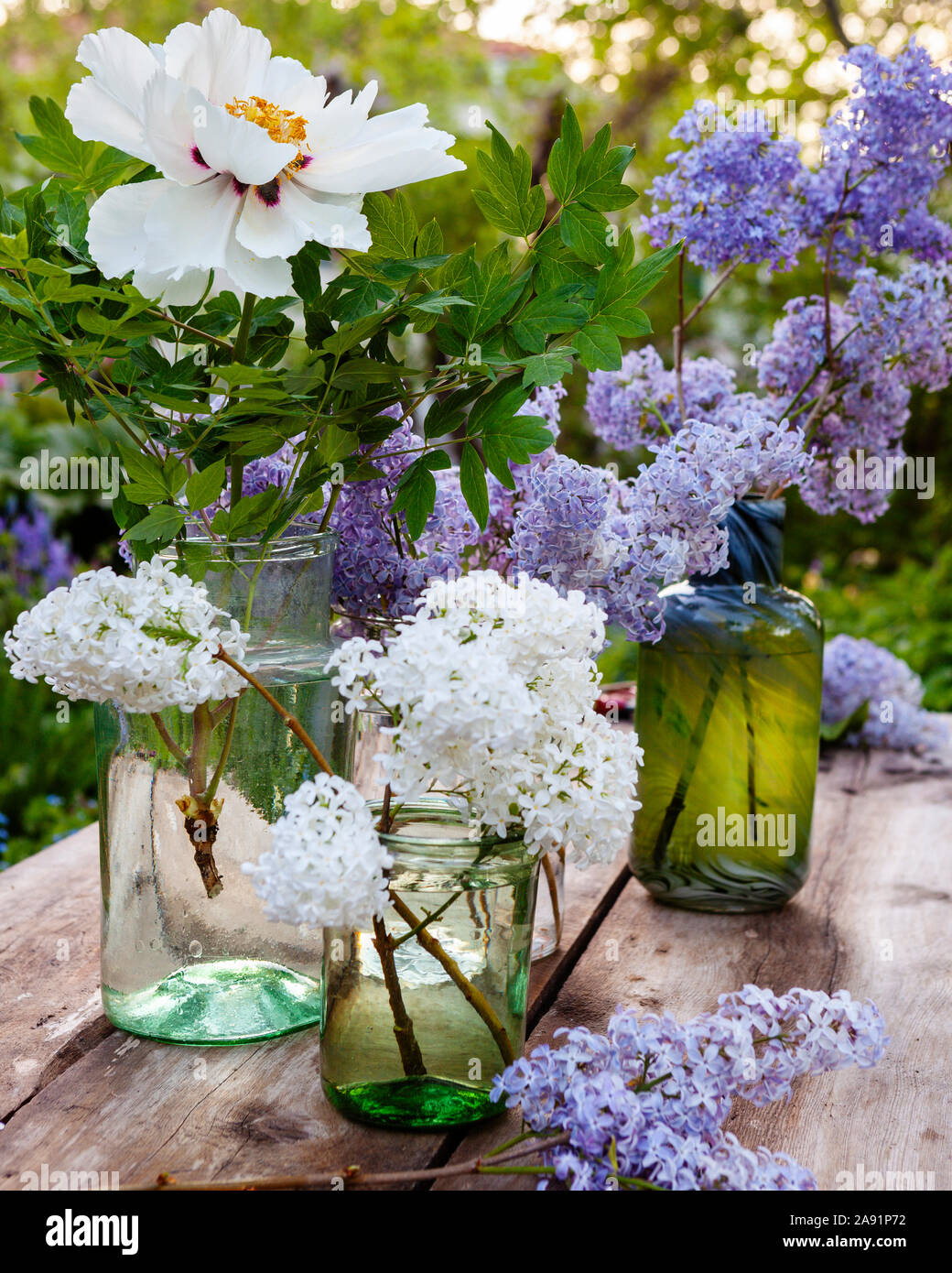Lilac vasi con fiori Foto Stock