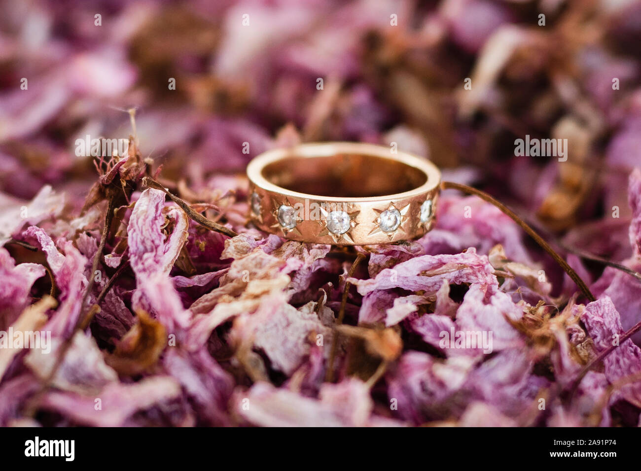 Anello di nozze su essiccati petali di rosa Foto Stock