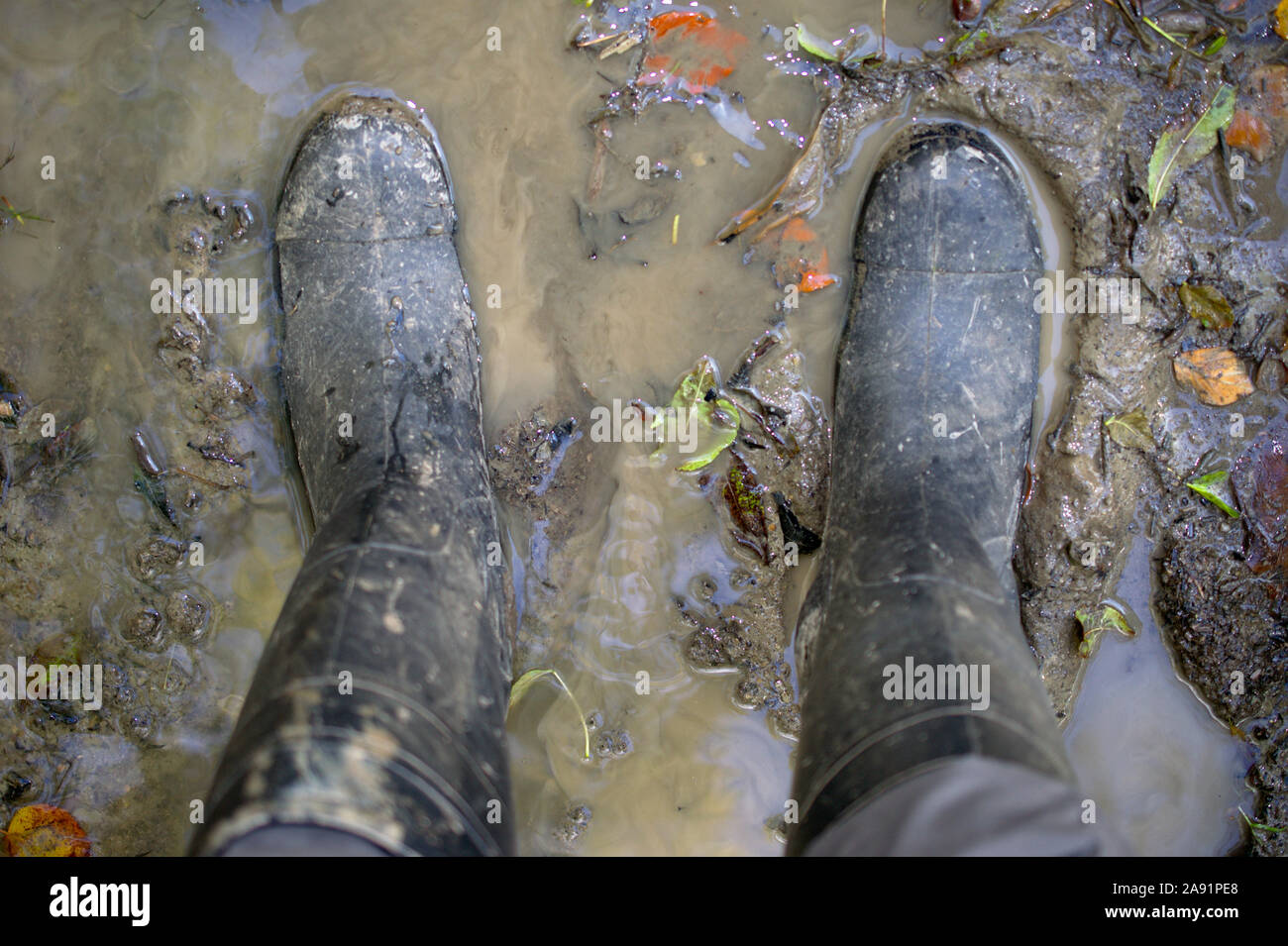 Indossare gli stivali da pioggia e in piedi in una pozza di fango e foglie Foto Stock