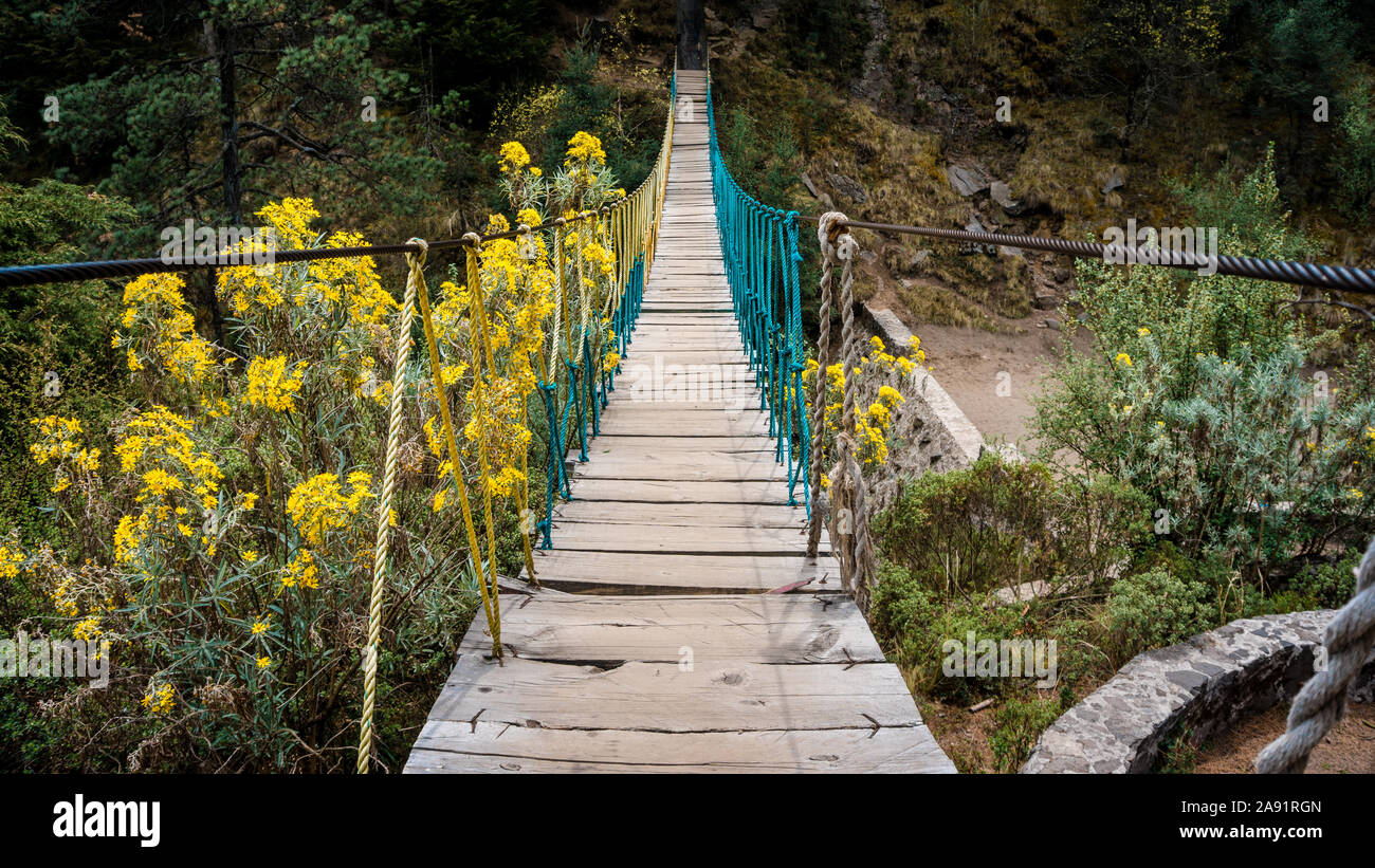 Il vecchio ponte che conduce alla vetta del monte Ajusco Foto Stock