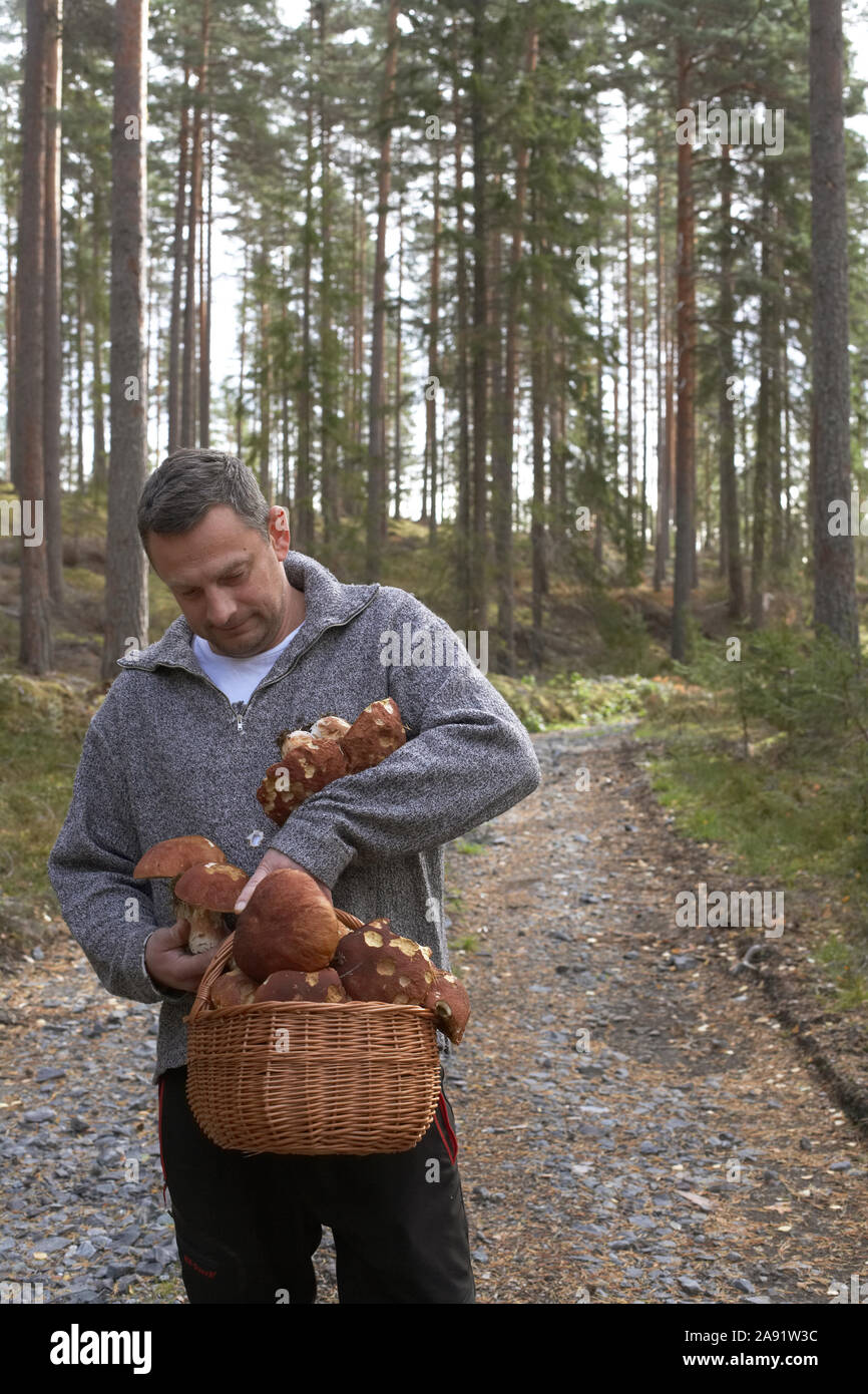 L'uomo la raccolta di funghi Foto Stock