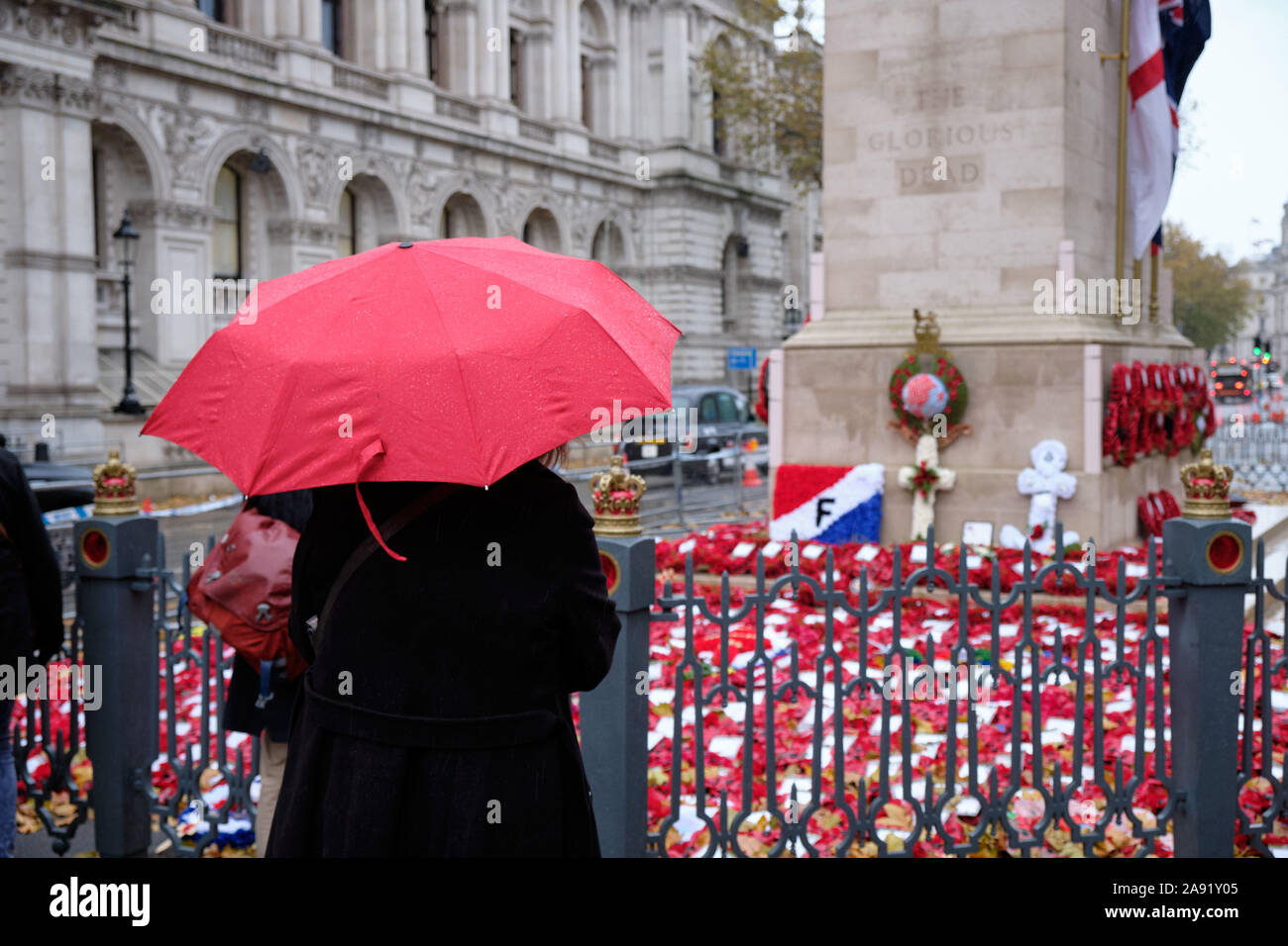 Westminster, Londra, Regno Unito. 12 Nov 2019. In un pomeriggio piovoso a Londra, la gente viene a rendere omaggio agli eroi caduti al Cenotaph, dove le corone sono ancora raccolte dalle cerimonie del fine settimana. Foto Stock