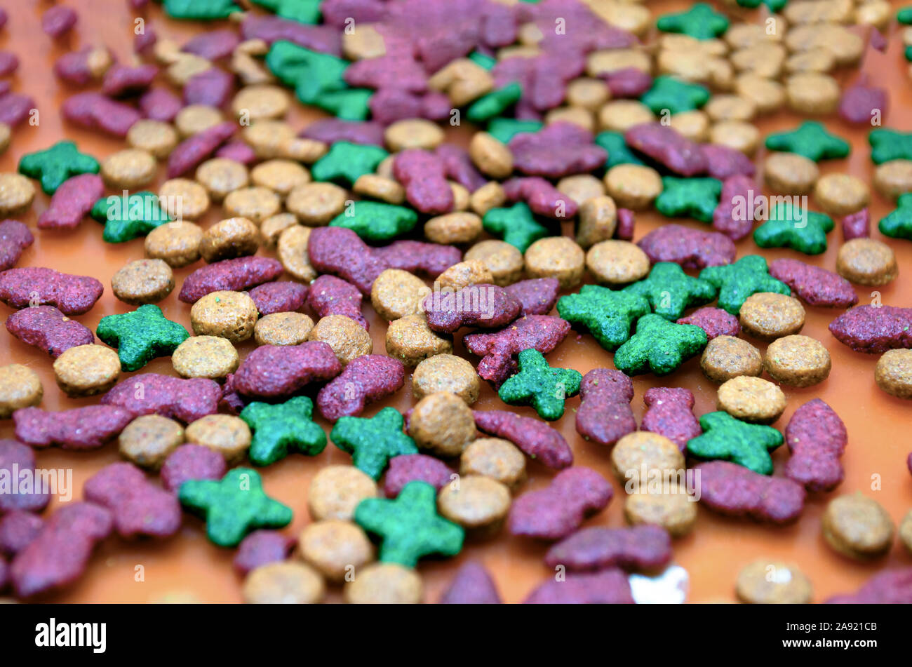Miscelare a secco di cane e di gatto cibo. forma di pesce e di forma sferica texture di sfondo Foto Stock