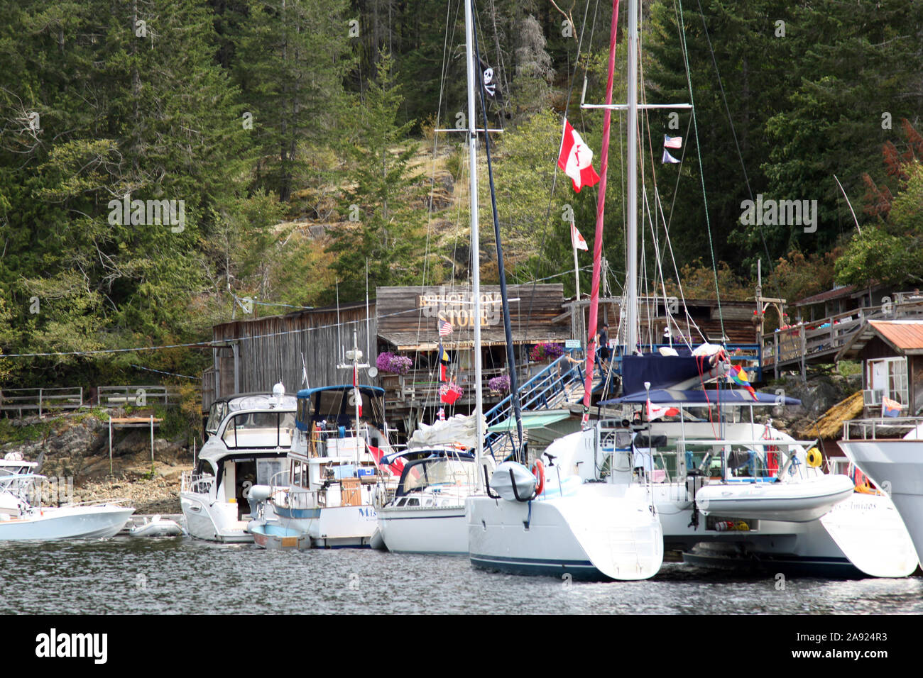 Rifugio Cove a Hope Point sul fiume Campbell, Vancouver Island, British Columbia, Canada, 2016, bar e ristorante accessibili solo in barca Foto Stock