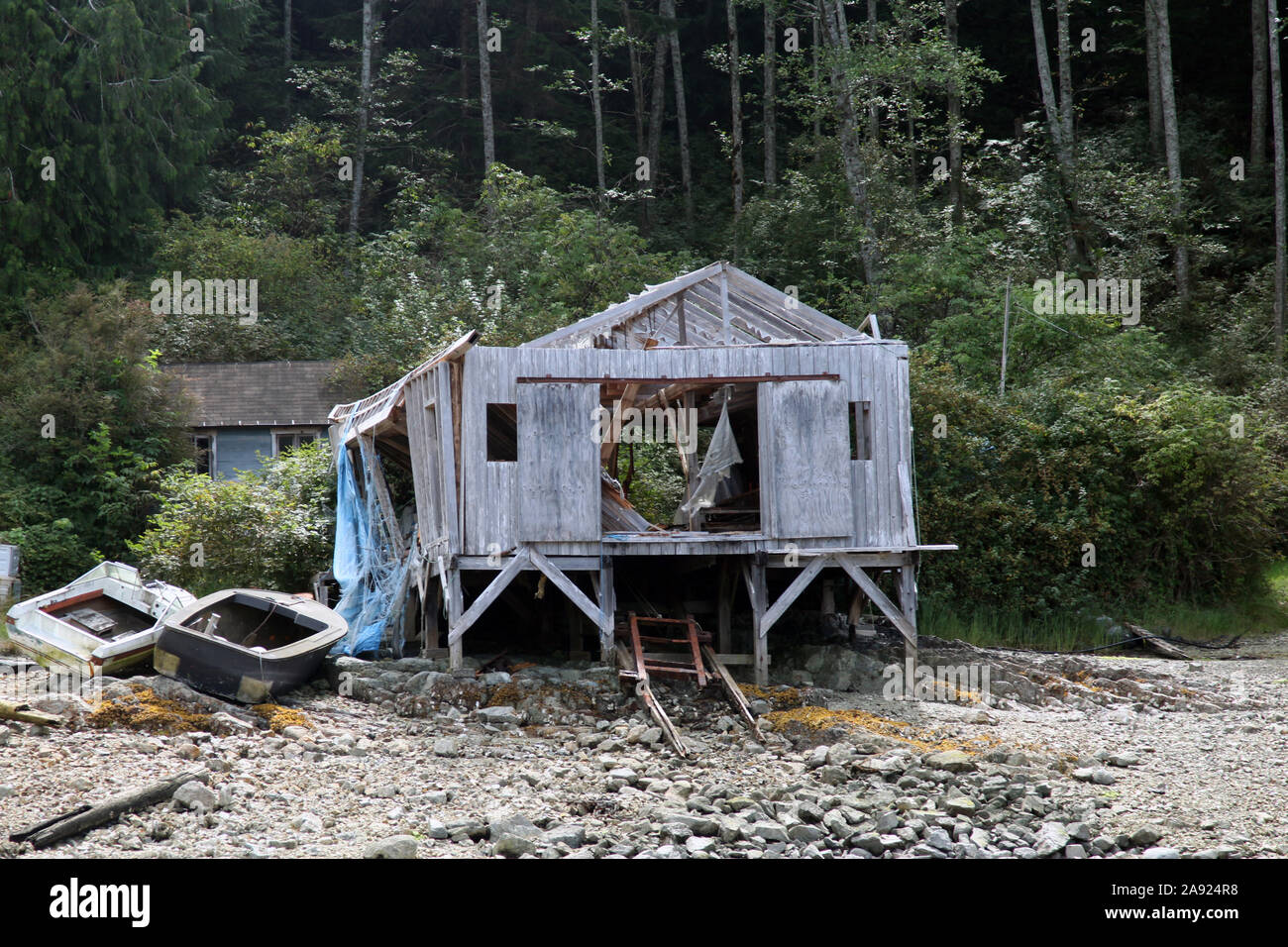Rifugio Cove a Hope Point sul fiume Campbell, Vancouver Island, British Columbia, Canada, 2016 Foto Stock