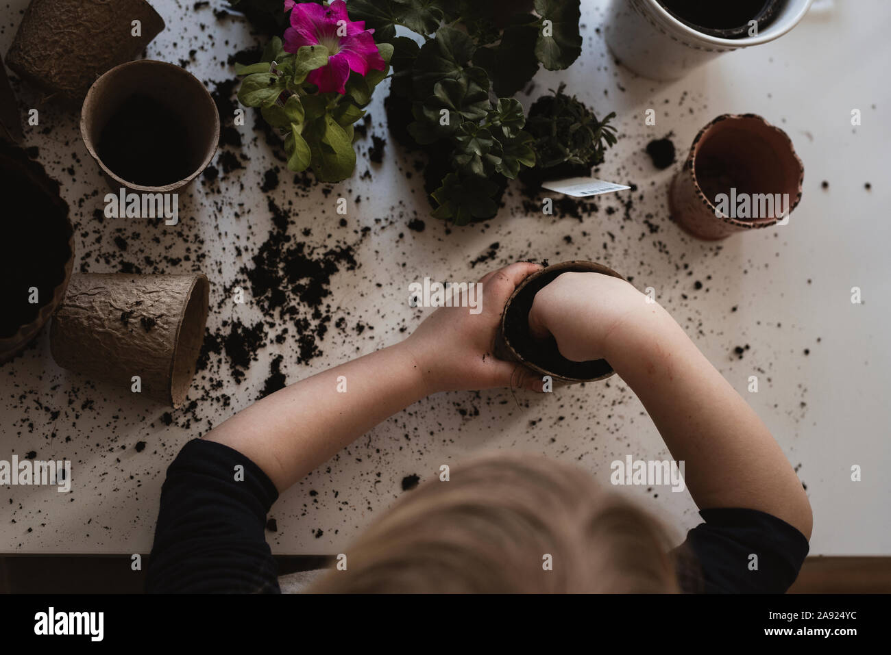 Ragazza fiore di incapsulazione Foto Stock