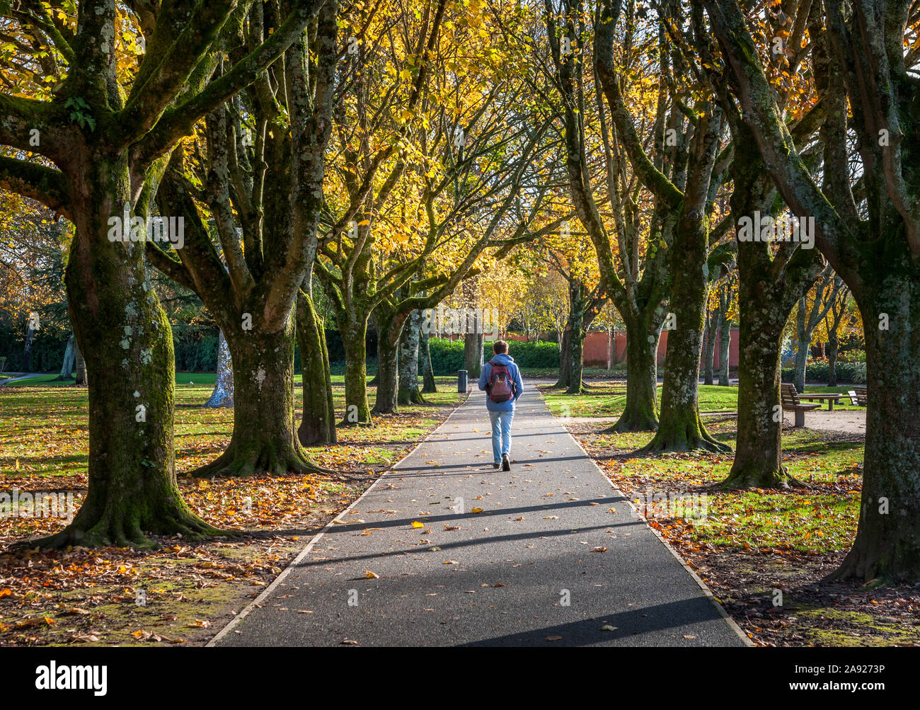 La città di Cork, Cork, Irlanda. 12 Novembre, 2019. Visitatori passeggiata attraverso Fitzgerald's Park che è il più grande parco pubblico nella città di Cork e fu ori Foto Stock