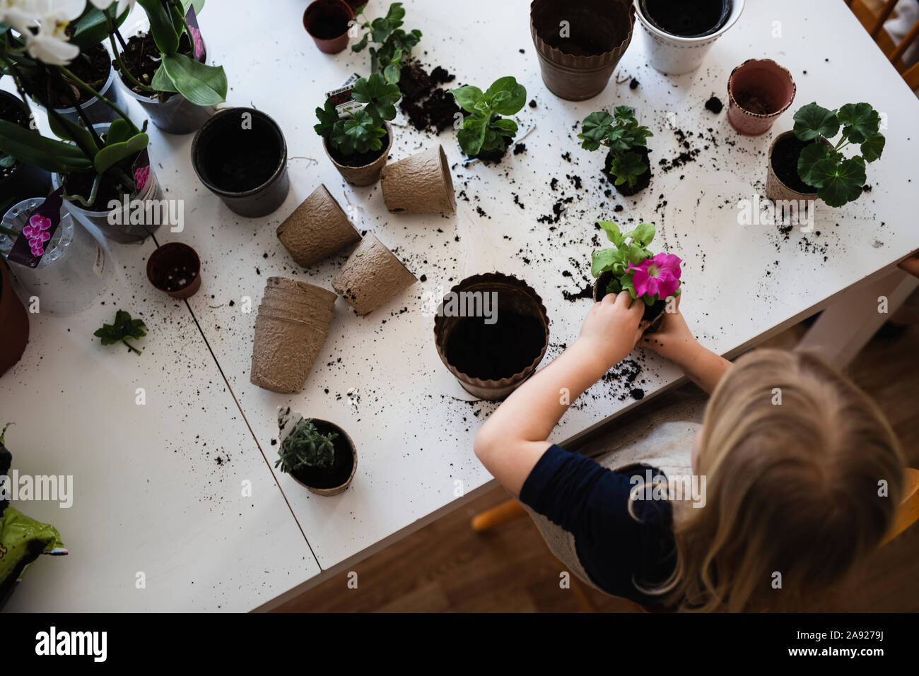 Ragazza fiore di incapsulazione Foto Stock