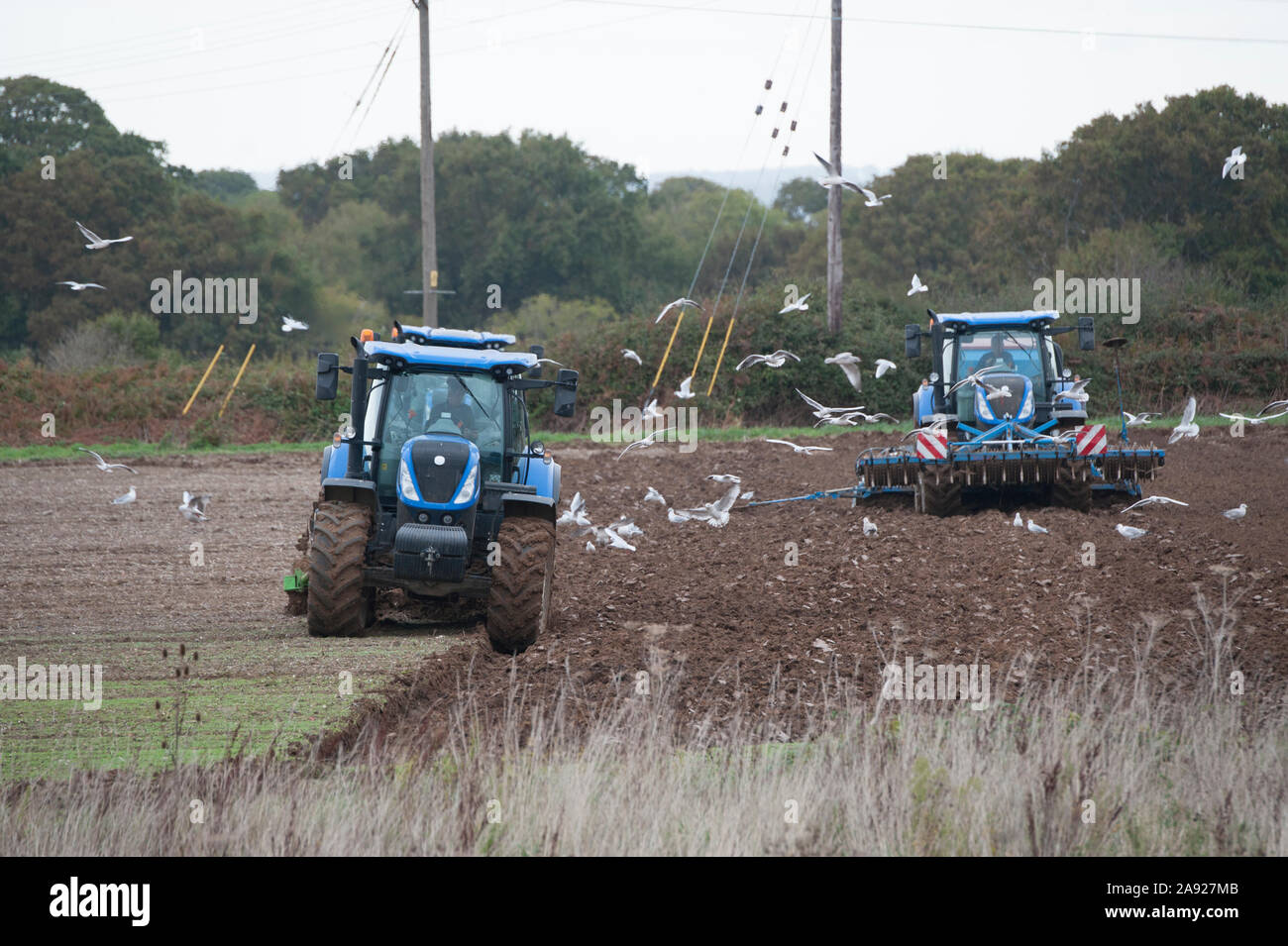 Blue New Holland T7 trattori l'aratura e la semina di semi in un campo a Hayling Island Regno Unito Foto Stock