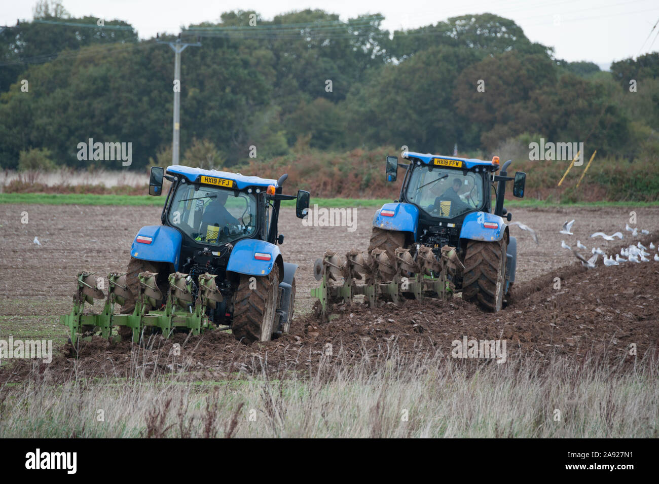 Blue New Holland T7 trattori l'aratura e la semina di semi in un campo a Hayling Island Regno Unito Foto Stock
