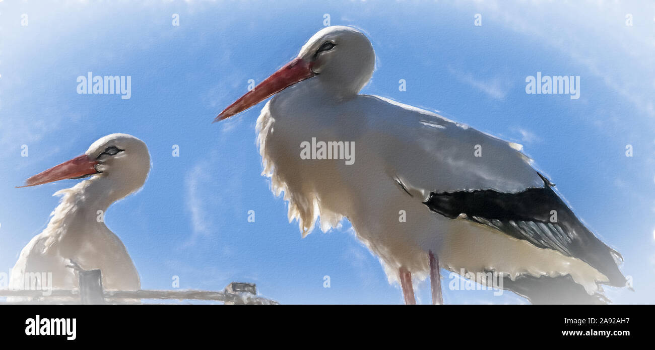 Illustrazione ad acquerello:cicogna bianca, nome scientifico Ciconia ciconia, con un becco rosso e zampe rosse stare nel suo grande nido in primavera, animale Foto Stock