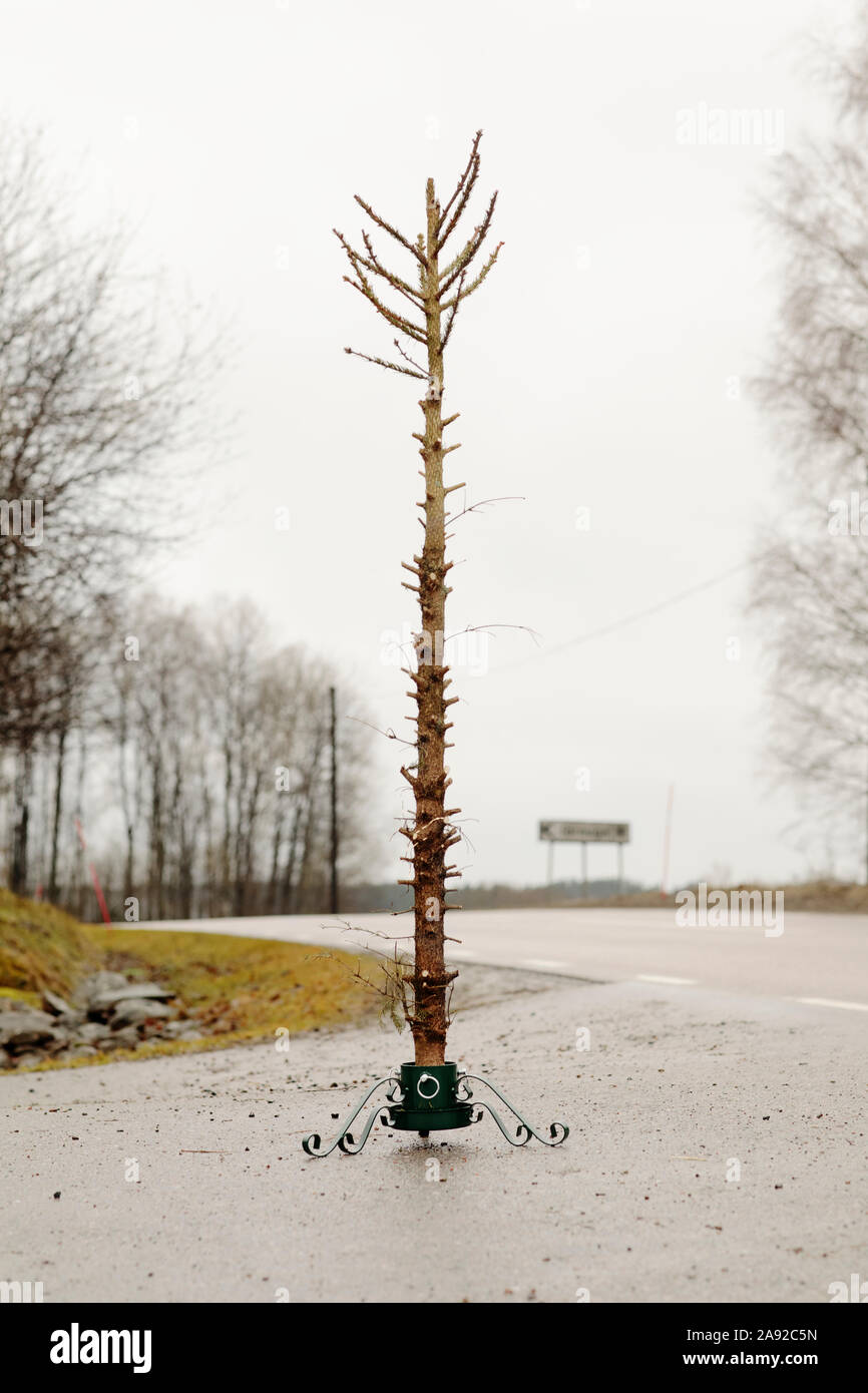 Abbandonato albero di Natale Foto Stock