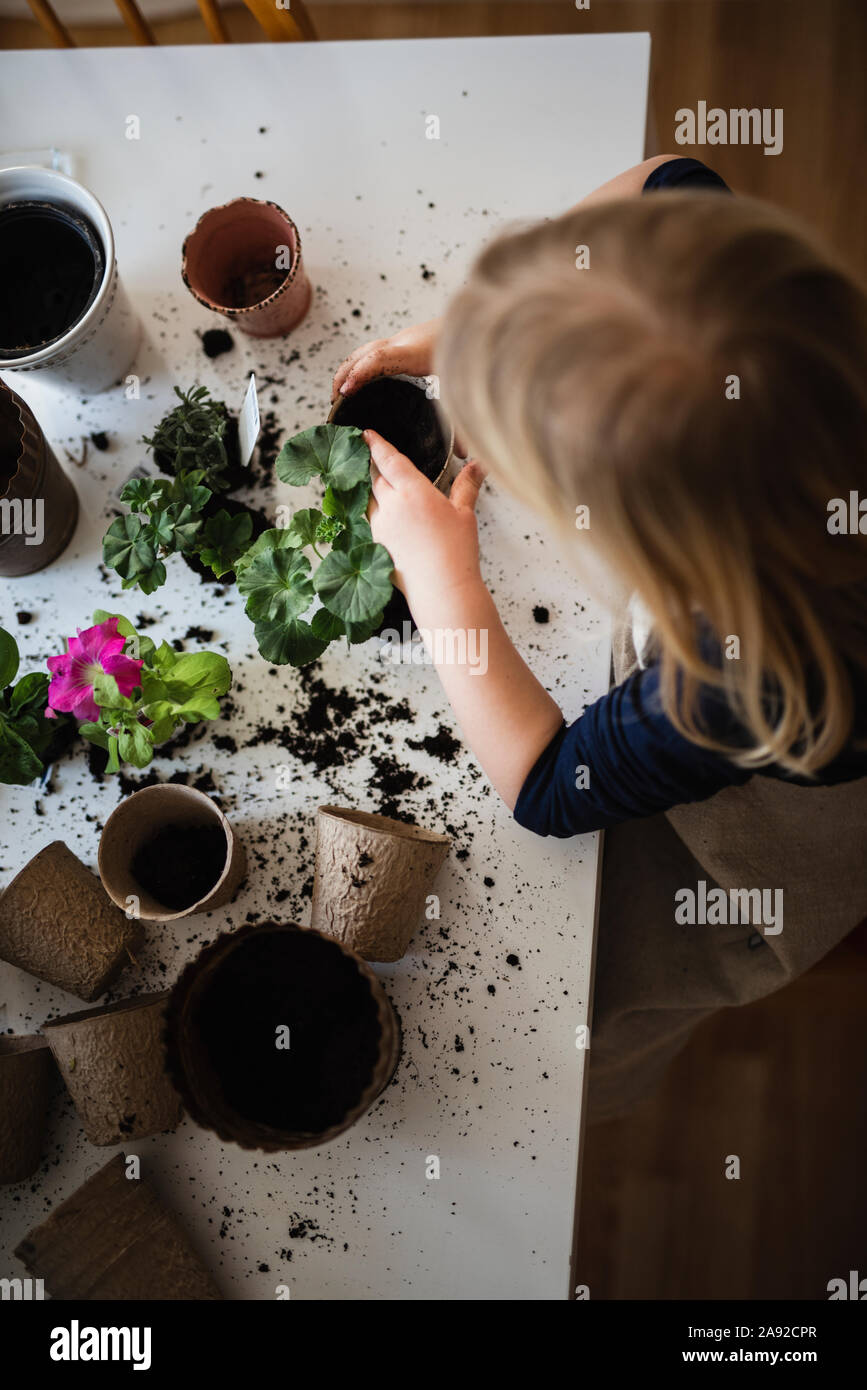 Ragazza fiore di incapsulazione Foto Stock