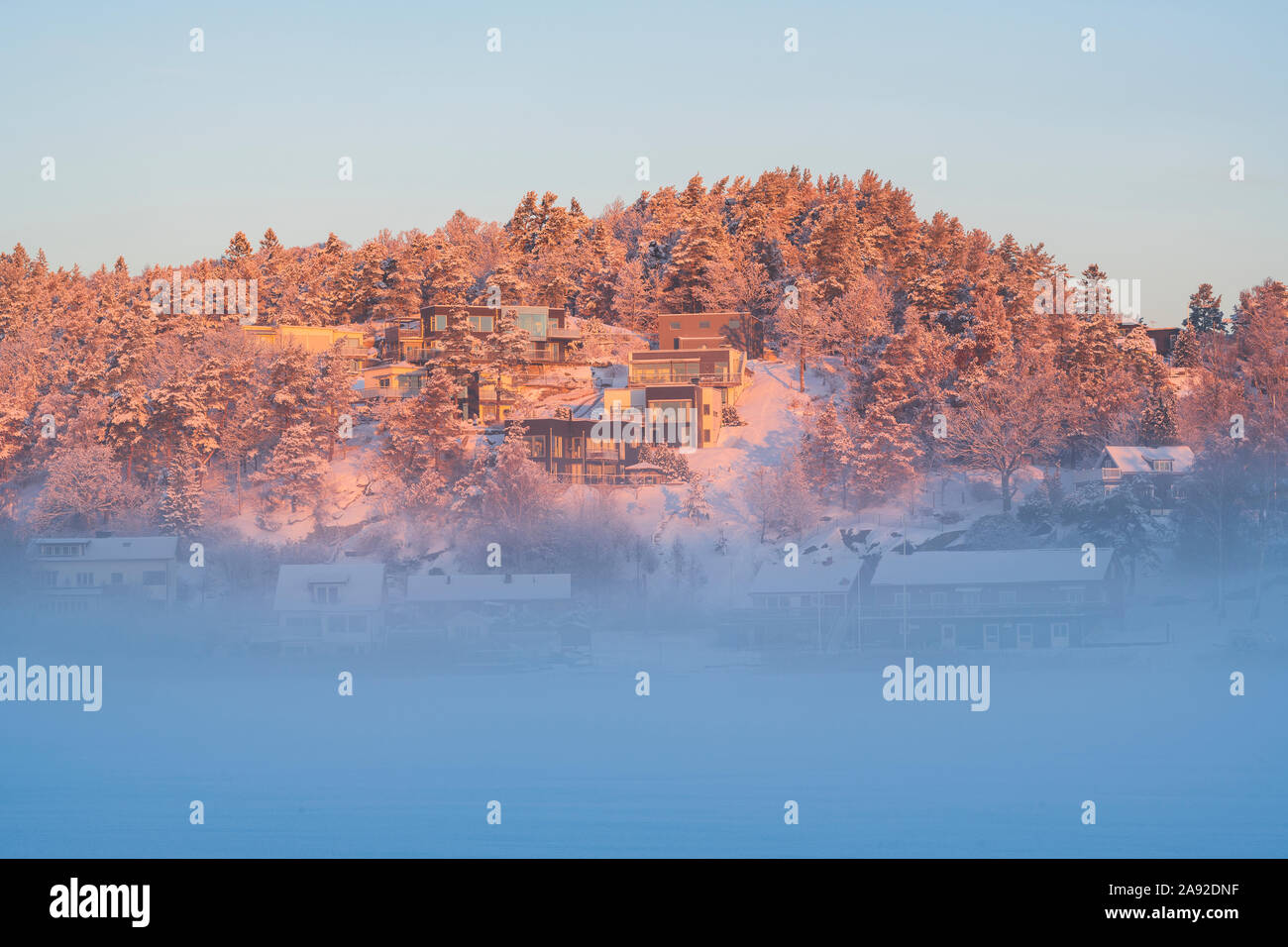 Paesaggio nebbioso Foto Stock