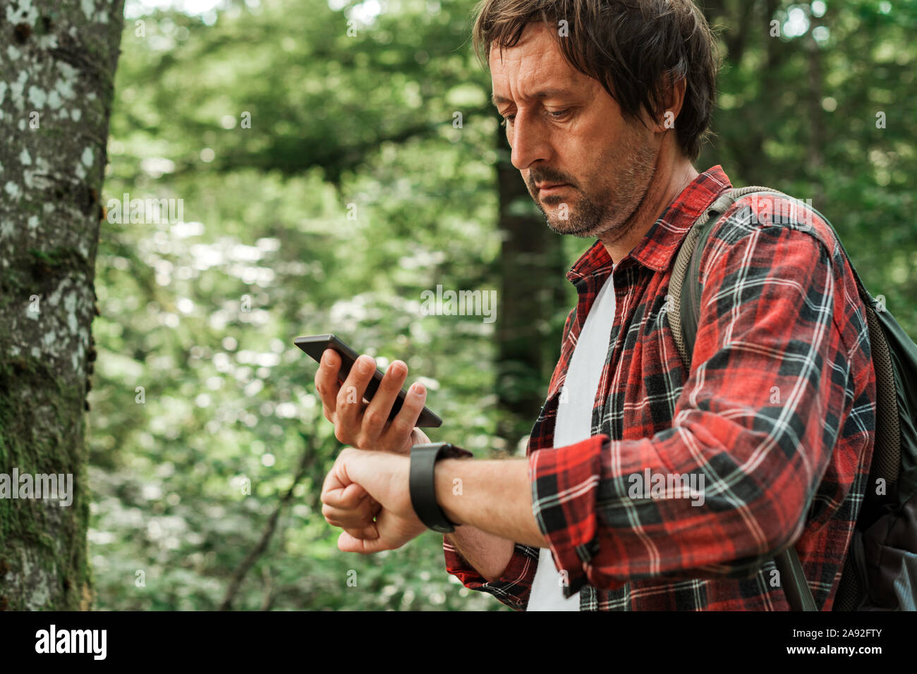 Escursionista smartwatch di collegamento allo smartphone per eseguire la sincronizzazione dei dati su dispositivi durante le escursioni nella foresta,fuoco selettivo Foto Stock