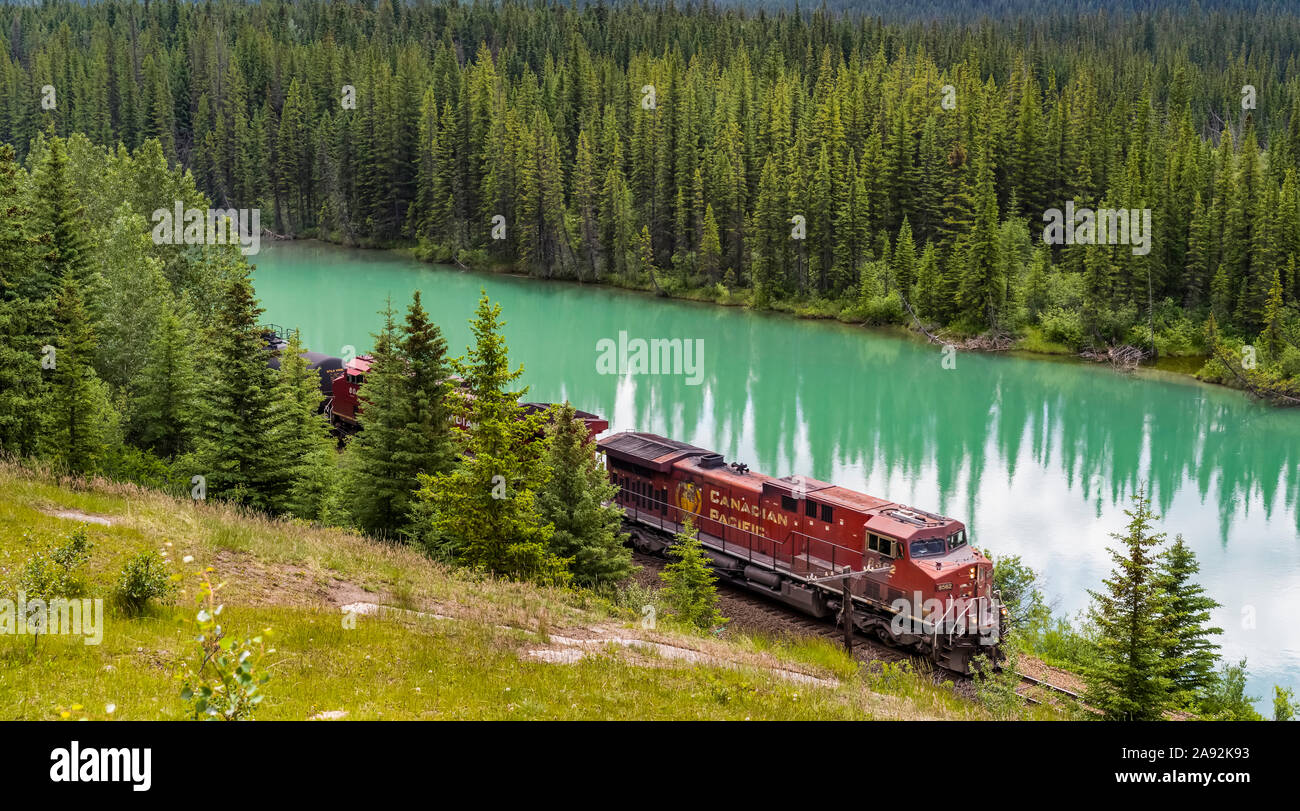 Il treno viaggia lungo il fiume Bow nella Bow Valley Parkway, Banff National Park; Improvement District No. 9, Alberta, Canada Foto Stock