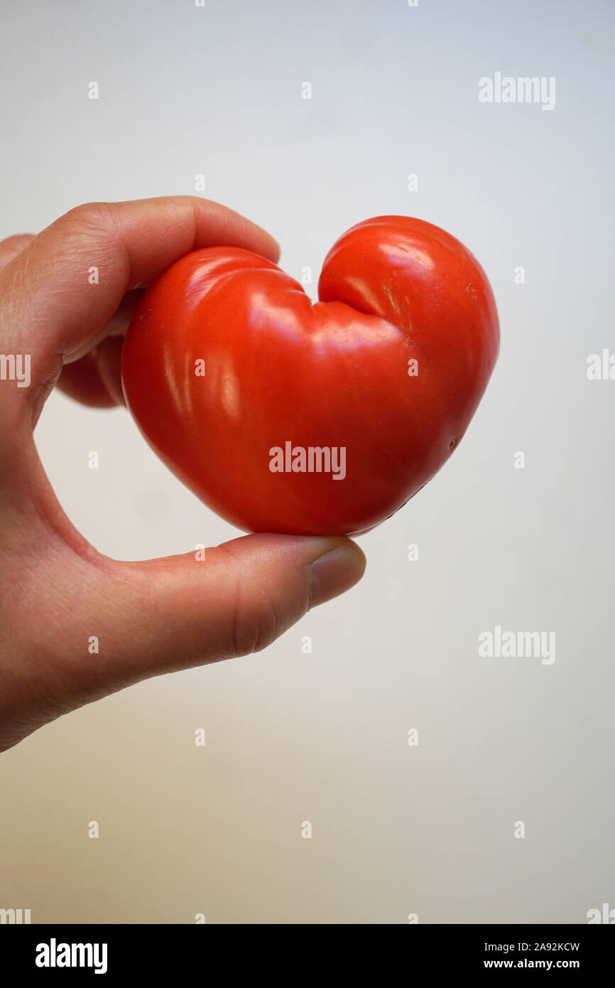 Cuore sano concetto (salute del cuore), a forma di cuore di bue (cuore) pomodoro Foto Stock