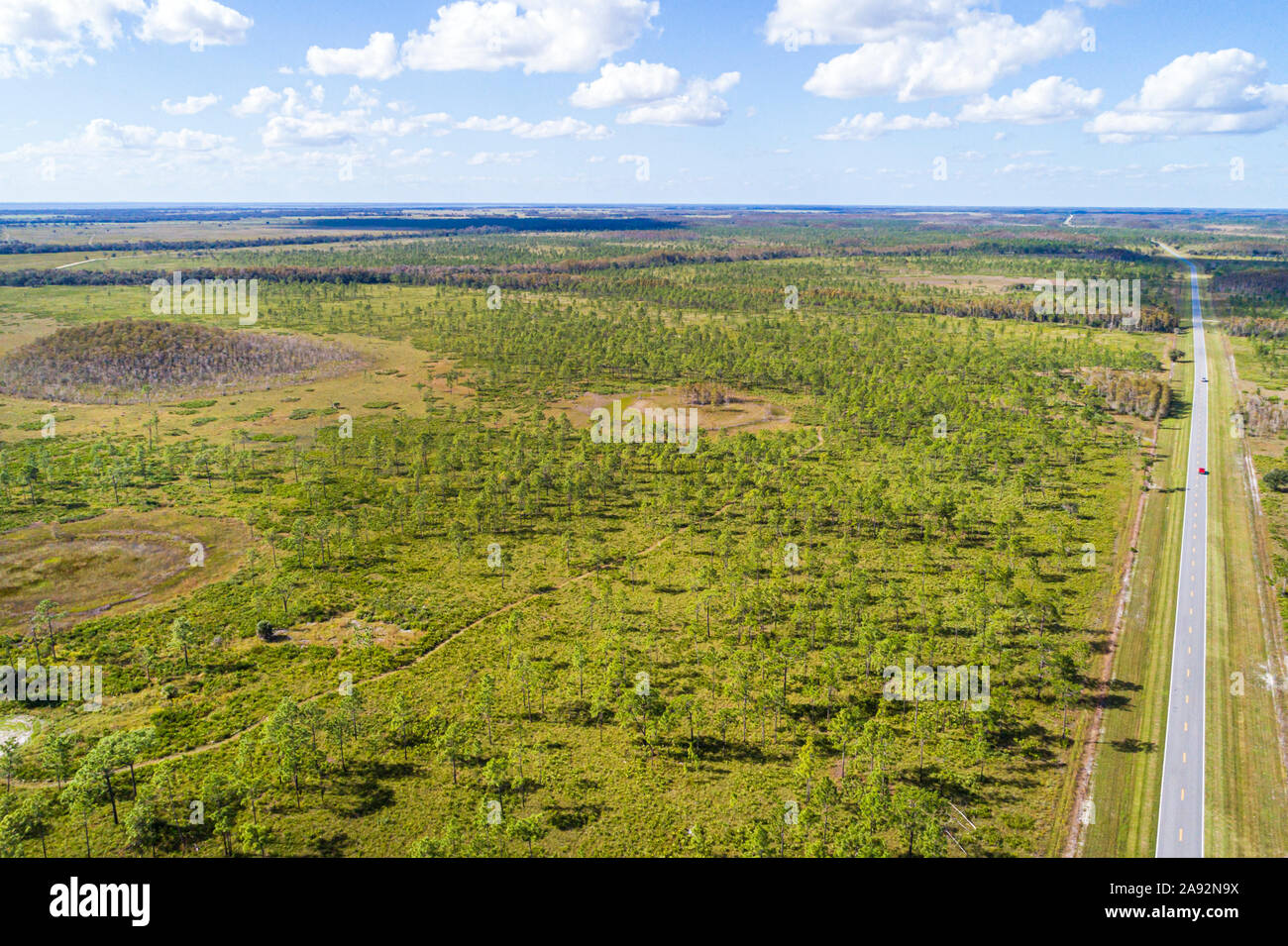 Florida,Area di gestione della fauna selvatica dei tre Laghi WMA,riserva naturale rifugio conservazione habitat naturale,prateria alberi di pino flatwood,North Canoe Creek wat Foto Stock