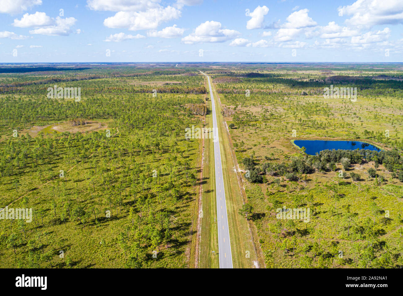 Florida,Area di gestione della fauna selvatica dei tre Laghi WMA,riserva naturale rifugio conservazione habitat naturale,prateria alberi di pino flatwood,North Canoe Creek Roa Foto Stock