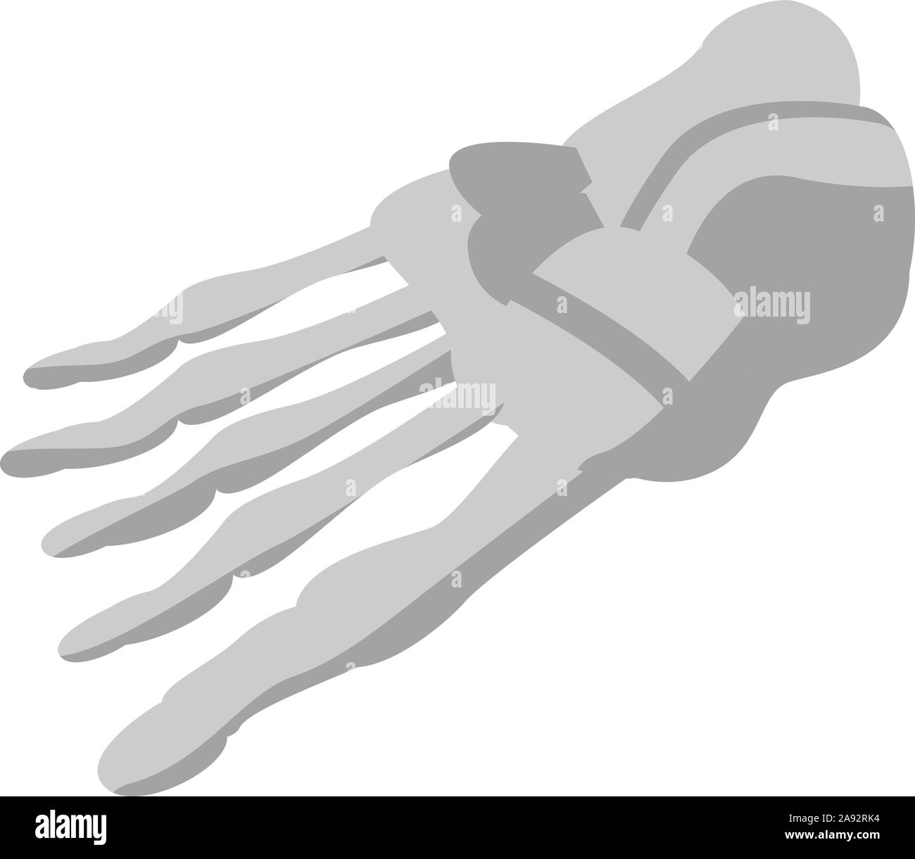 Piede icona dello scheletro, stile isometrico Illustrazione Vettoriale