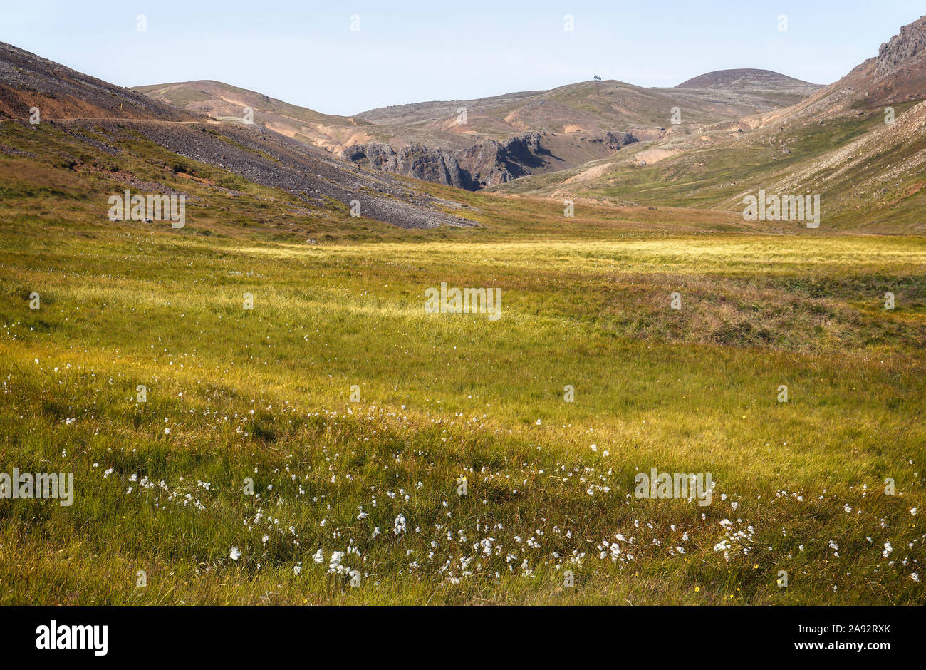 Reykjadalur primavera calda area in Islanda Foto Stock