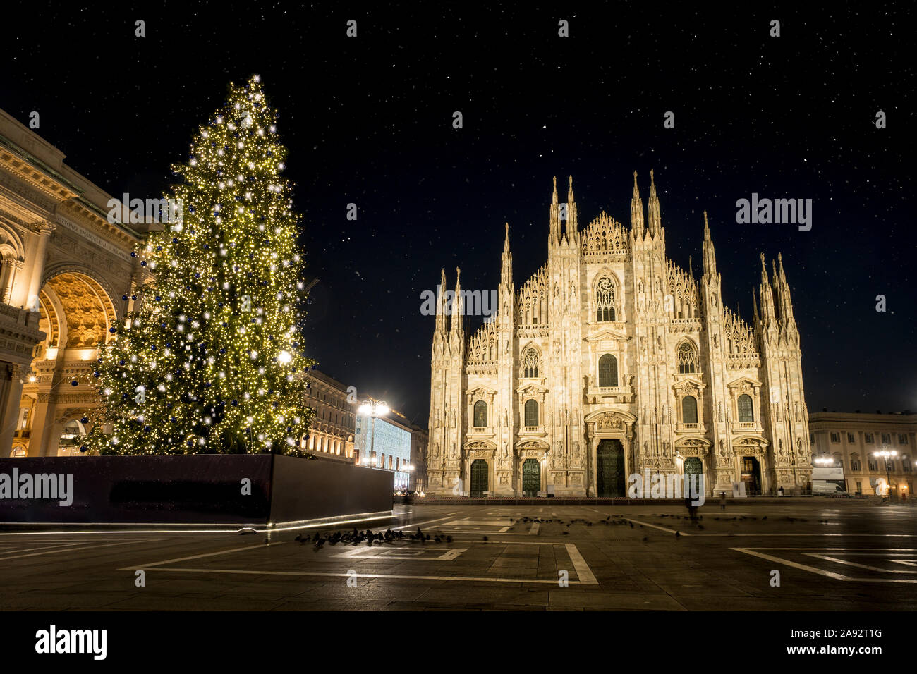 Milano (Italia) in inverno: albero di Natale davanti al duomo di Milano, in piazza Duomo in dicembre, Vista notte. Foto Stock
