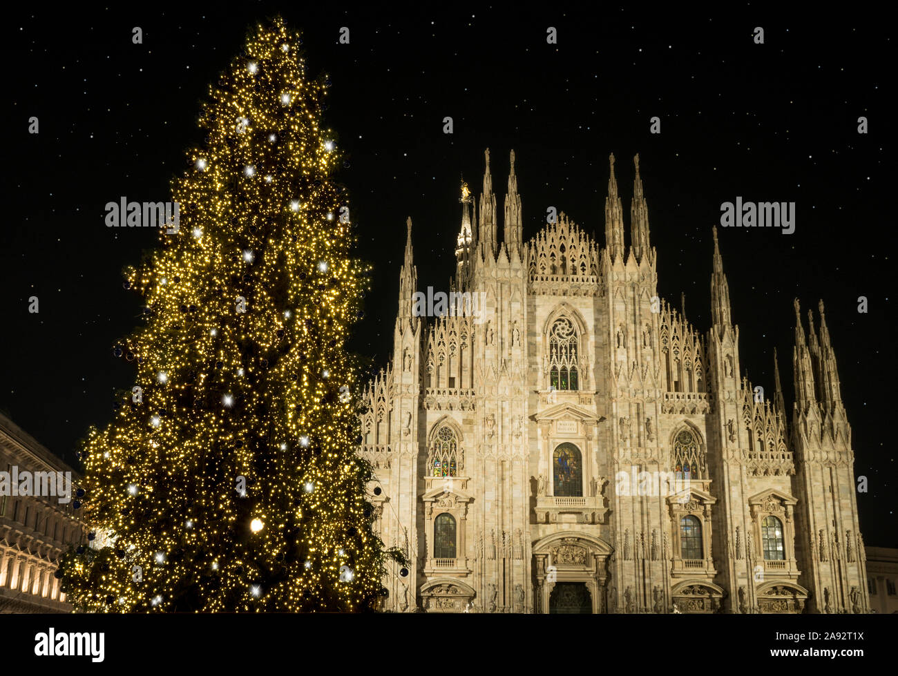 Milano (Italia) in inverno: albero di Natale davanti al duomo di Milano, in piazza Duomo in dicembre, Vista notte. Foto Stock