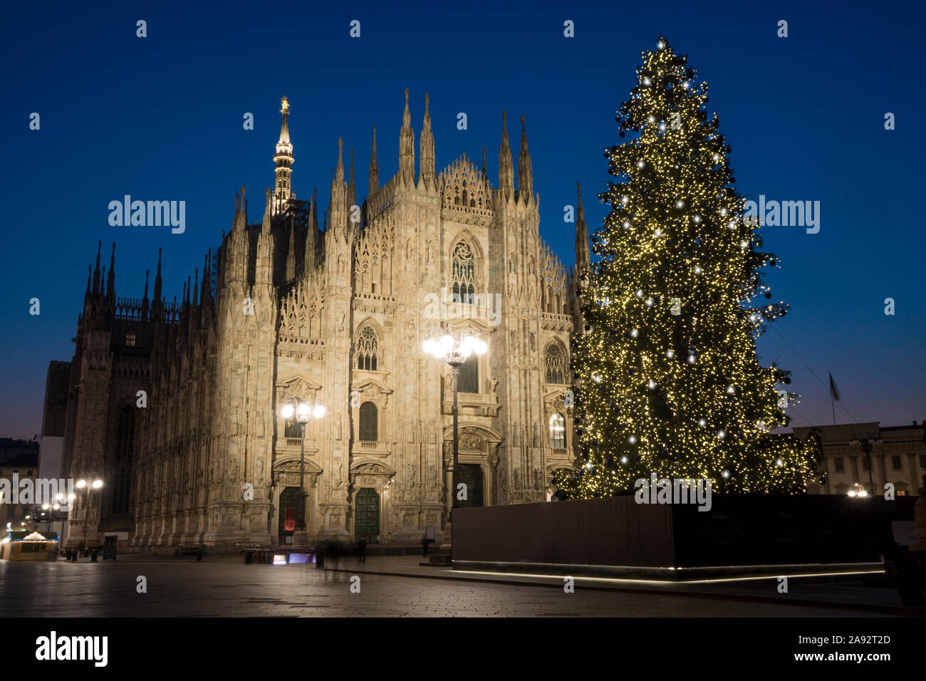 Milano (Italia) in inverno: albero di Natale davanti al duomo di Milano, in piazza Duomo in dicembre, Vista notte. Foto Stock