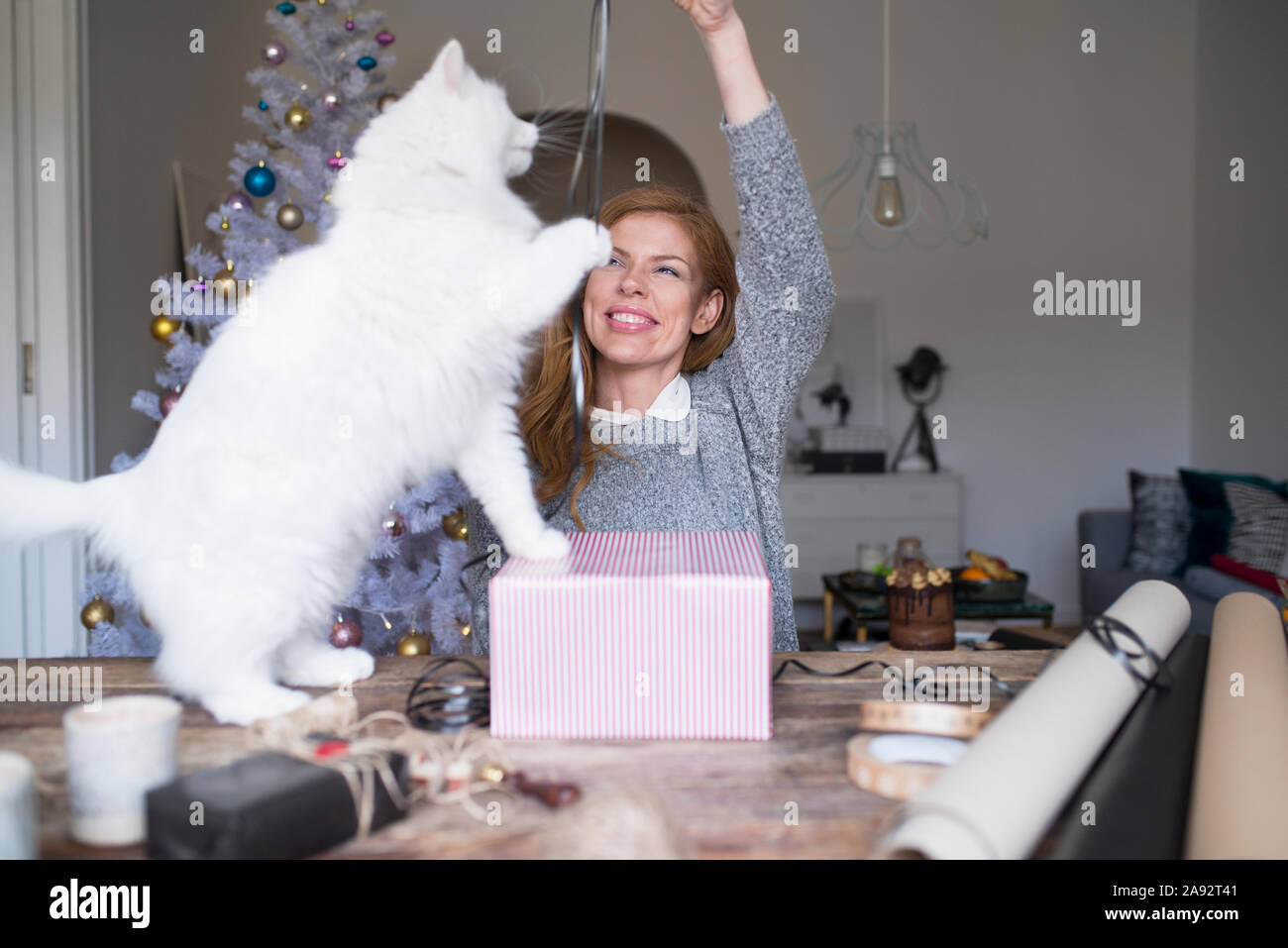 Donna che gioca con gatto mentre impaccamento presente Foto Stock