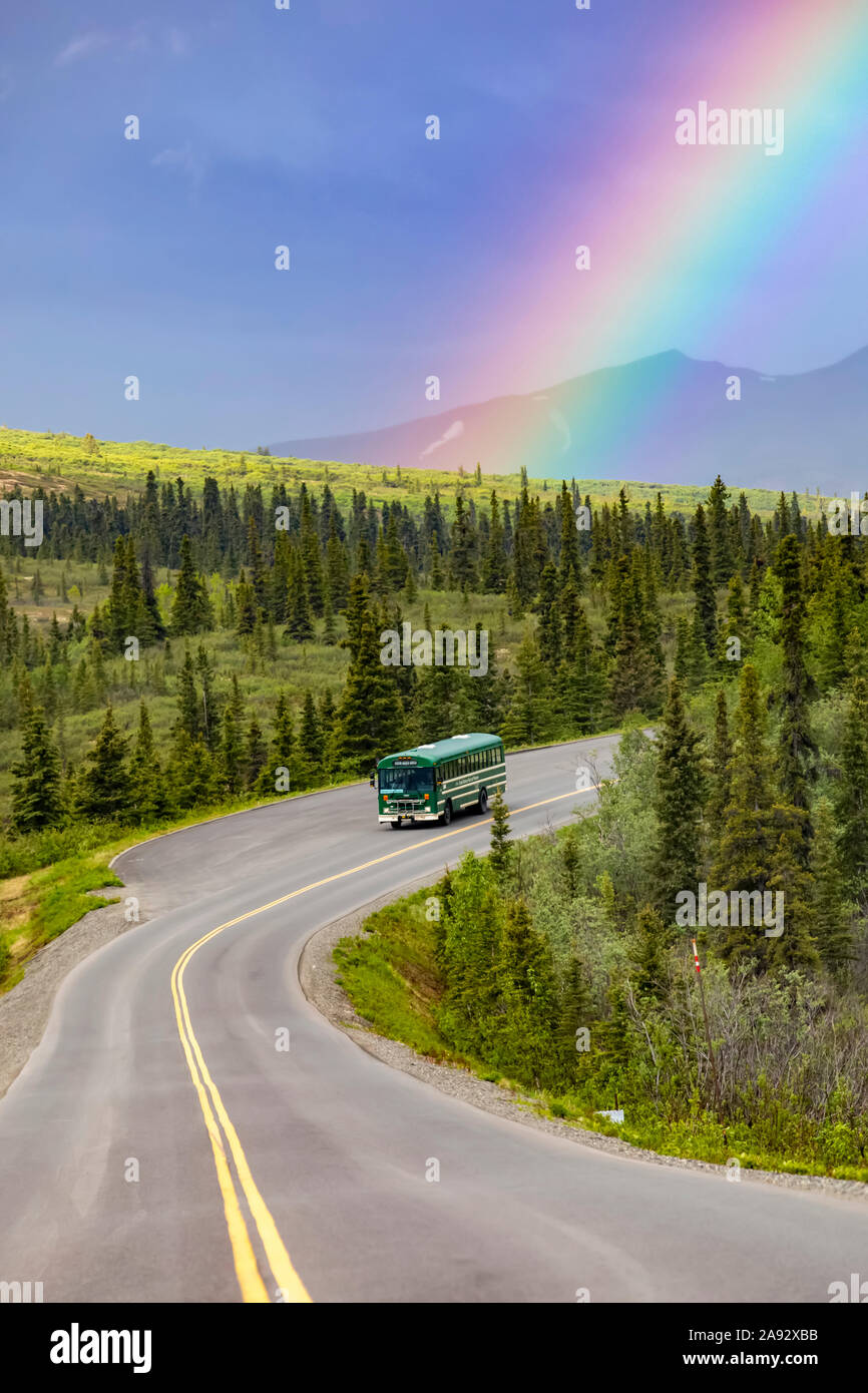 Un autobus turistico viaggia su Denali Park Road sotto un arcobaleno nel Denali National Park e conserva in Alaska interna; Alaska, Stati Uniti d'America Foto Stock