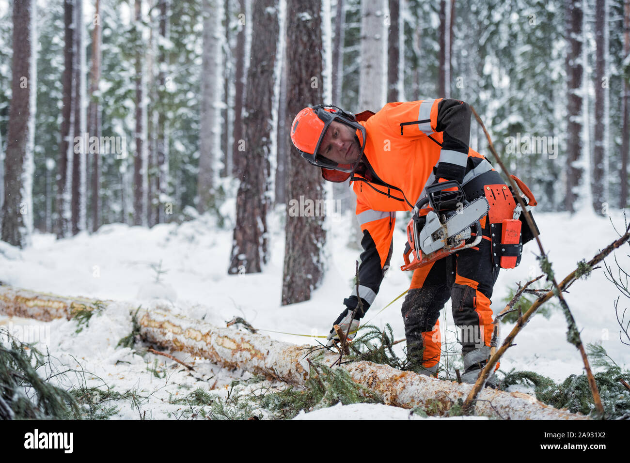 Lumberjack al lavoro Foto Stock