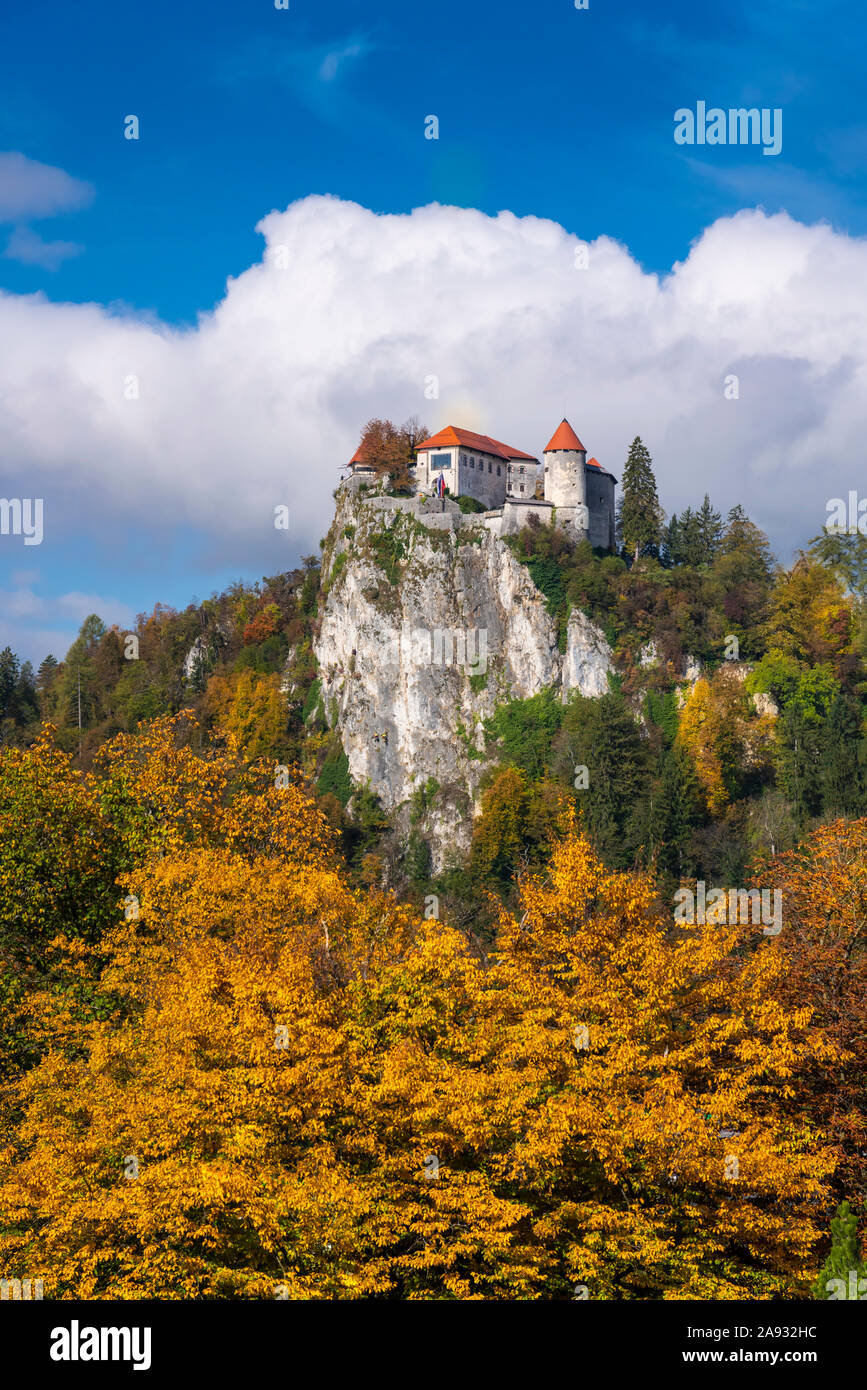 Il castello di Bled con la caduta delle foglie si riflette nel lago di Bled Slovenia, l'Europa. Foto Stock