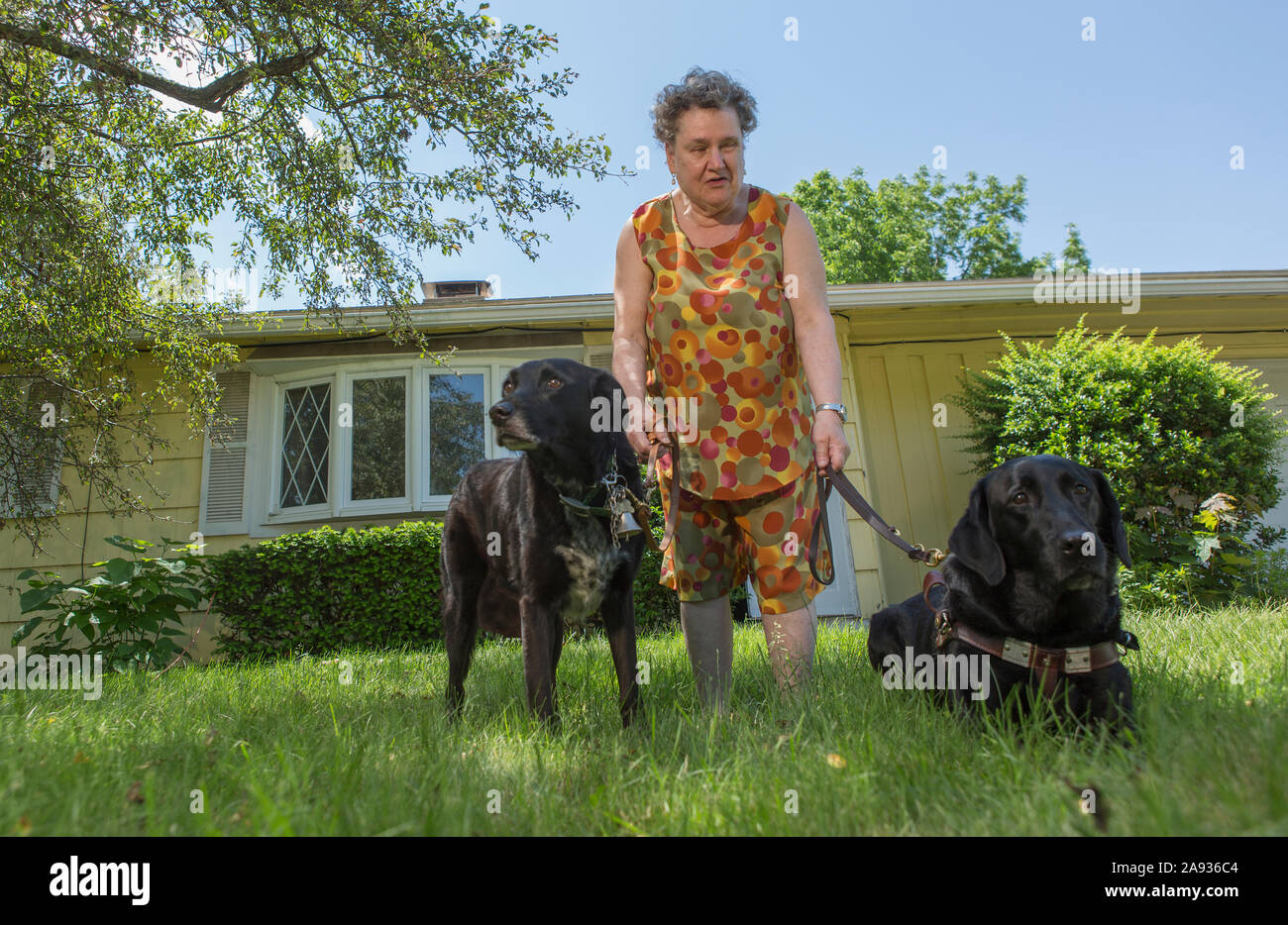 Donna anziana cieca con i suoi cani da servizio di fronte la sua casa Foto Stock