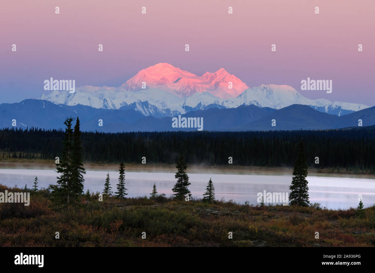 Nord America; Stati Uniti; Alaska; Parco Nazionale di Denali; Mt. Denali; 20; 320'.; Nord Ameica il picco più alto; Alba; l'autunno. Foto Stock