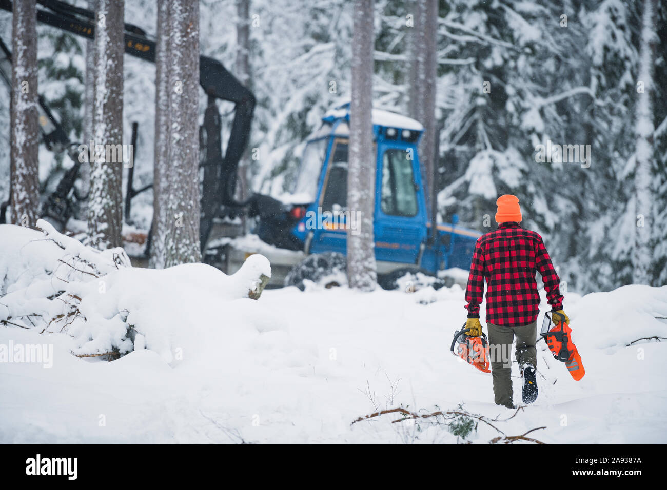 Lumberjack in foresta Foto Stock